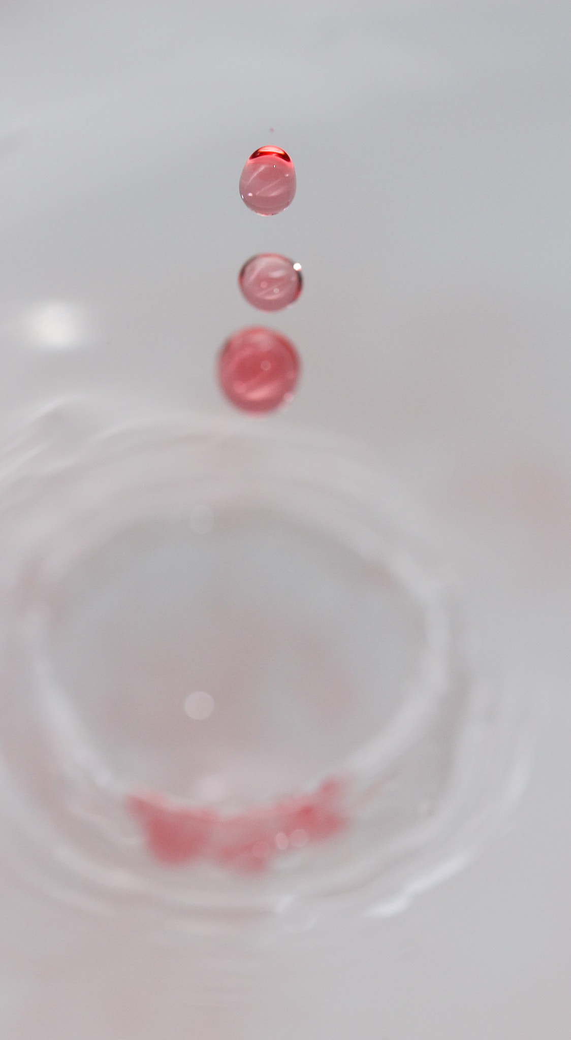 Sigma 105mm F2.8 EX DG OS HSM sample photo. Jus de grenade photography