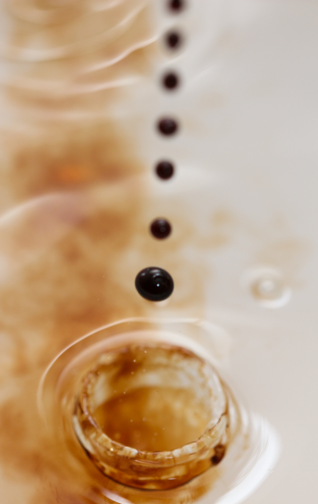 Sigma 105mm F2.8 EX DG OS HSM sample photo. Vinaigre vs eau photography