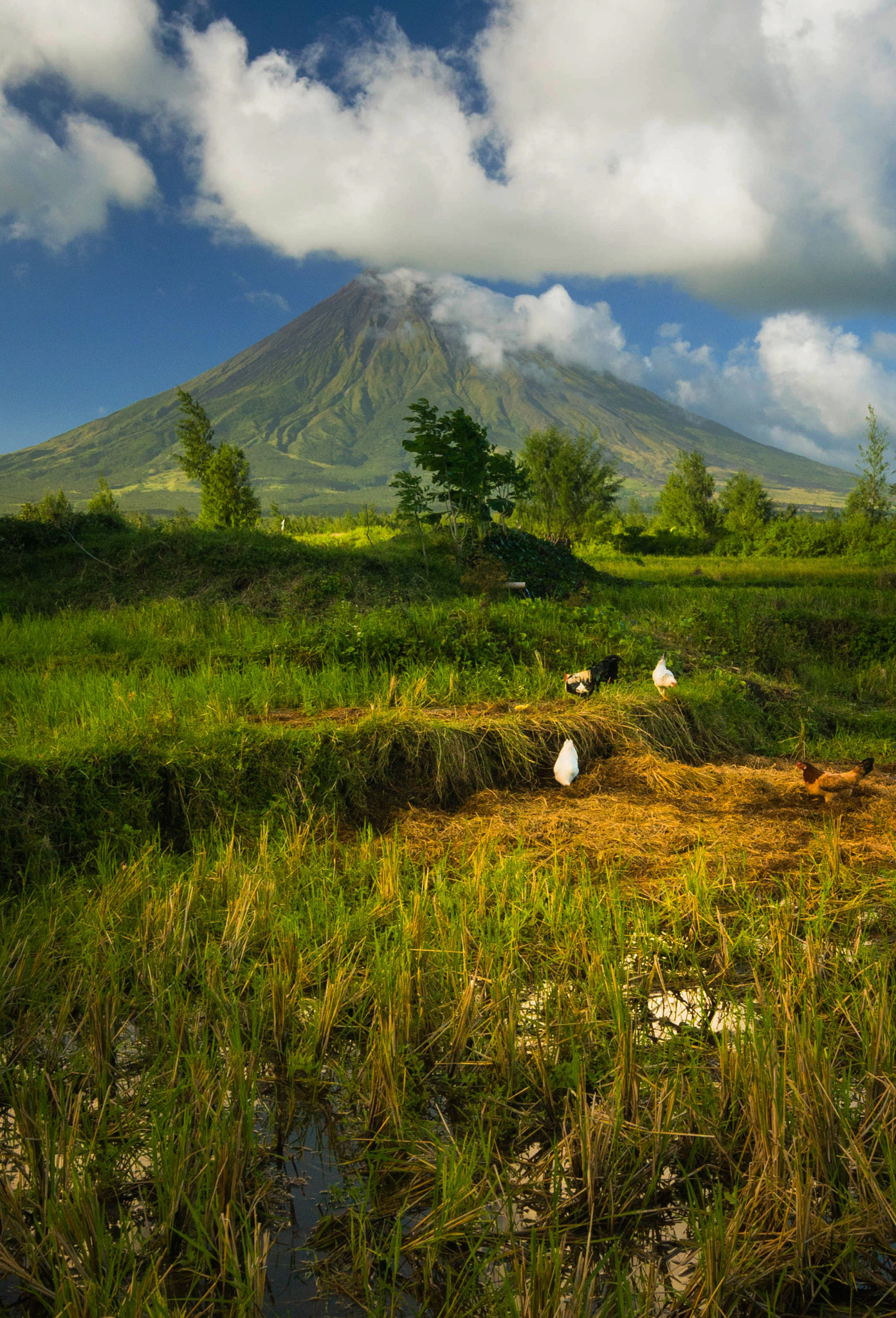Sigma 10-20mm F4-5.6 EX DC HSM sample photo. Countryside scene photography