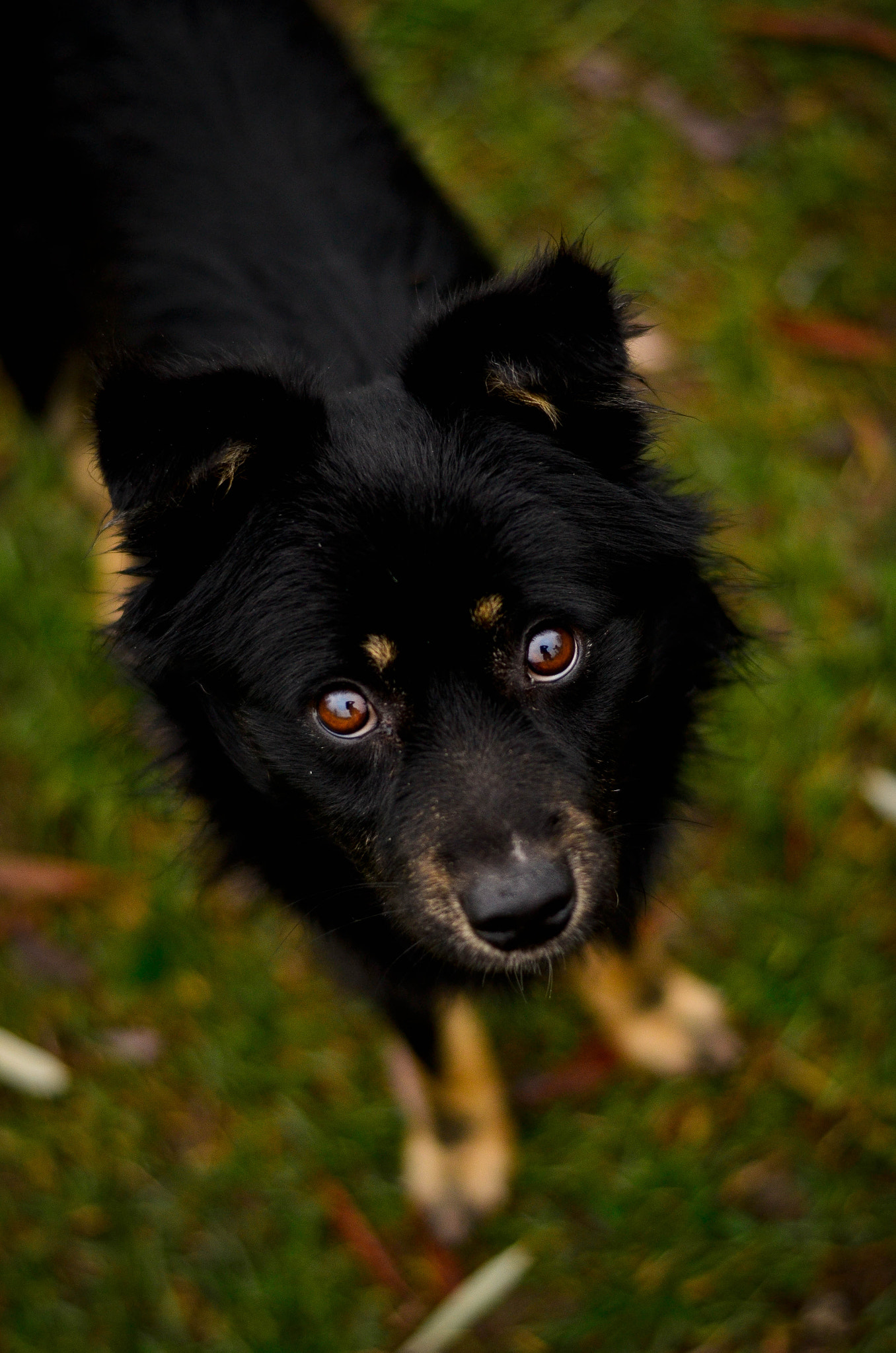 AF Zoom-Nikkor 35-80mm f/4-5.6D N sample photo. Homeless element photography