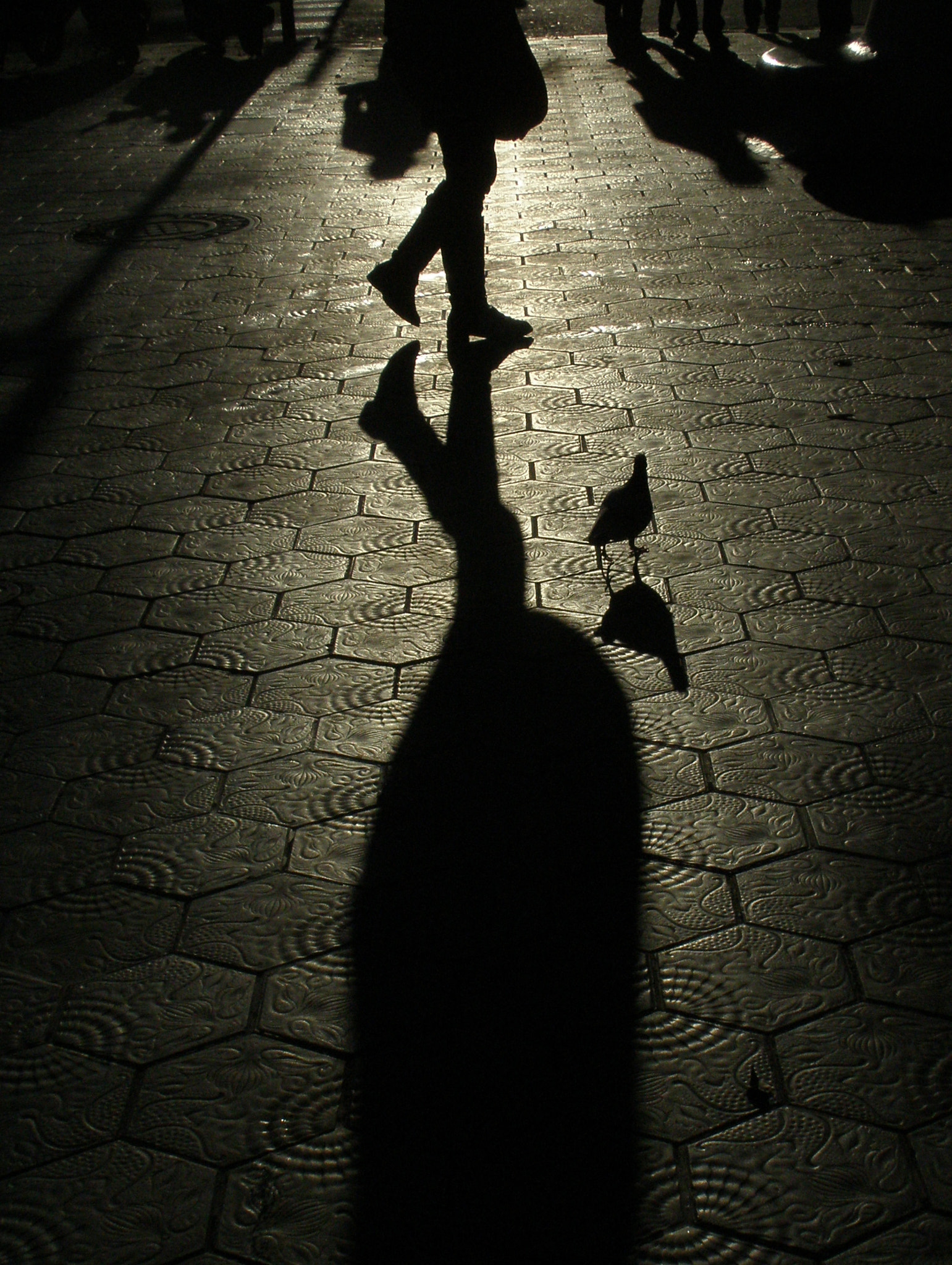 Olympus u1060,S1060 sample photo. Walking shadows photography