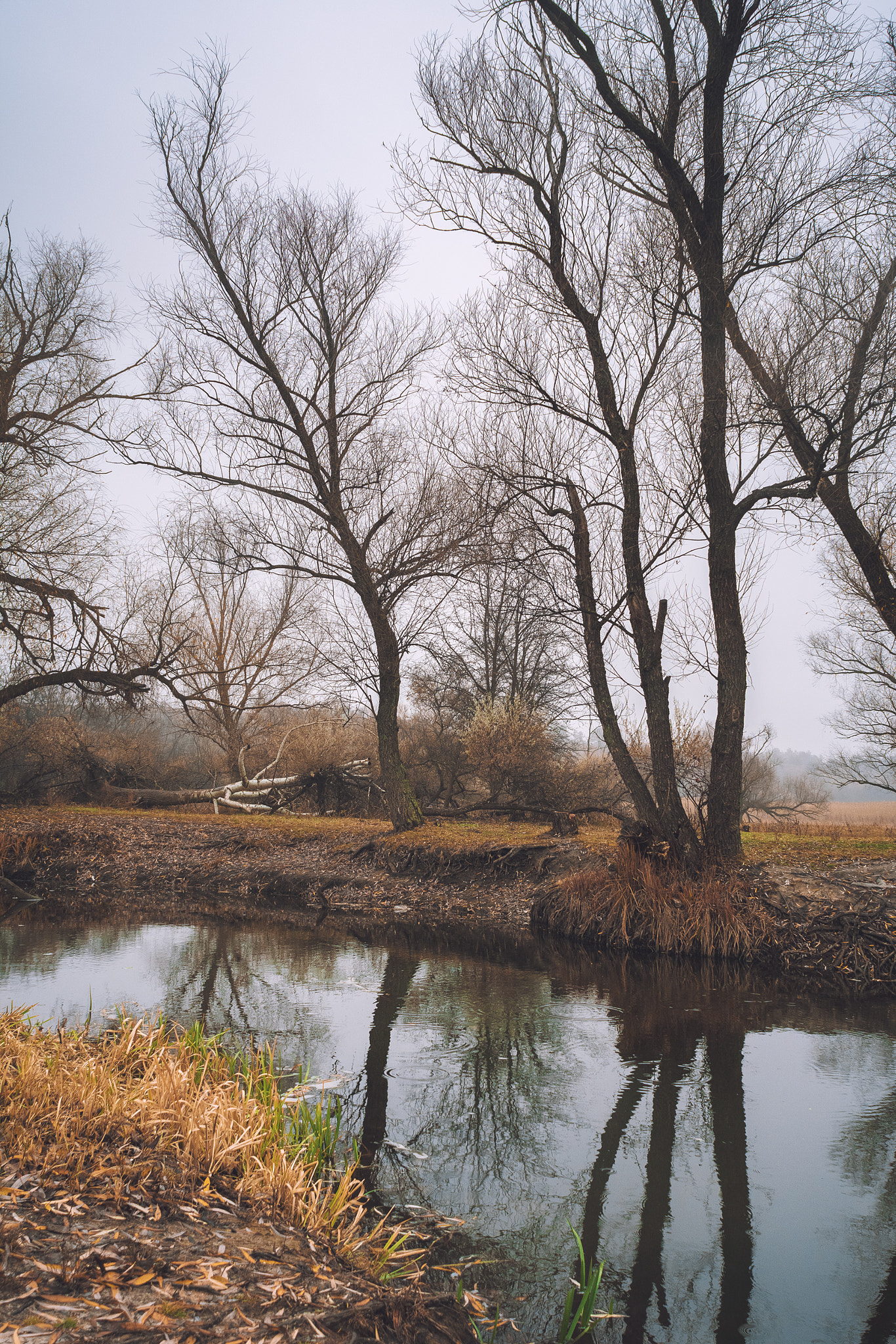 Nikon D7100 + Nikon AF Nikkor 20mm F2.8D sample photo. Autumn reflection photography