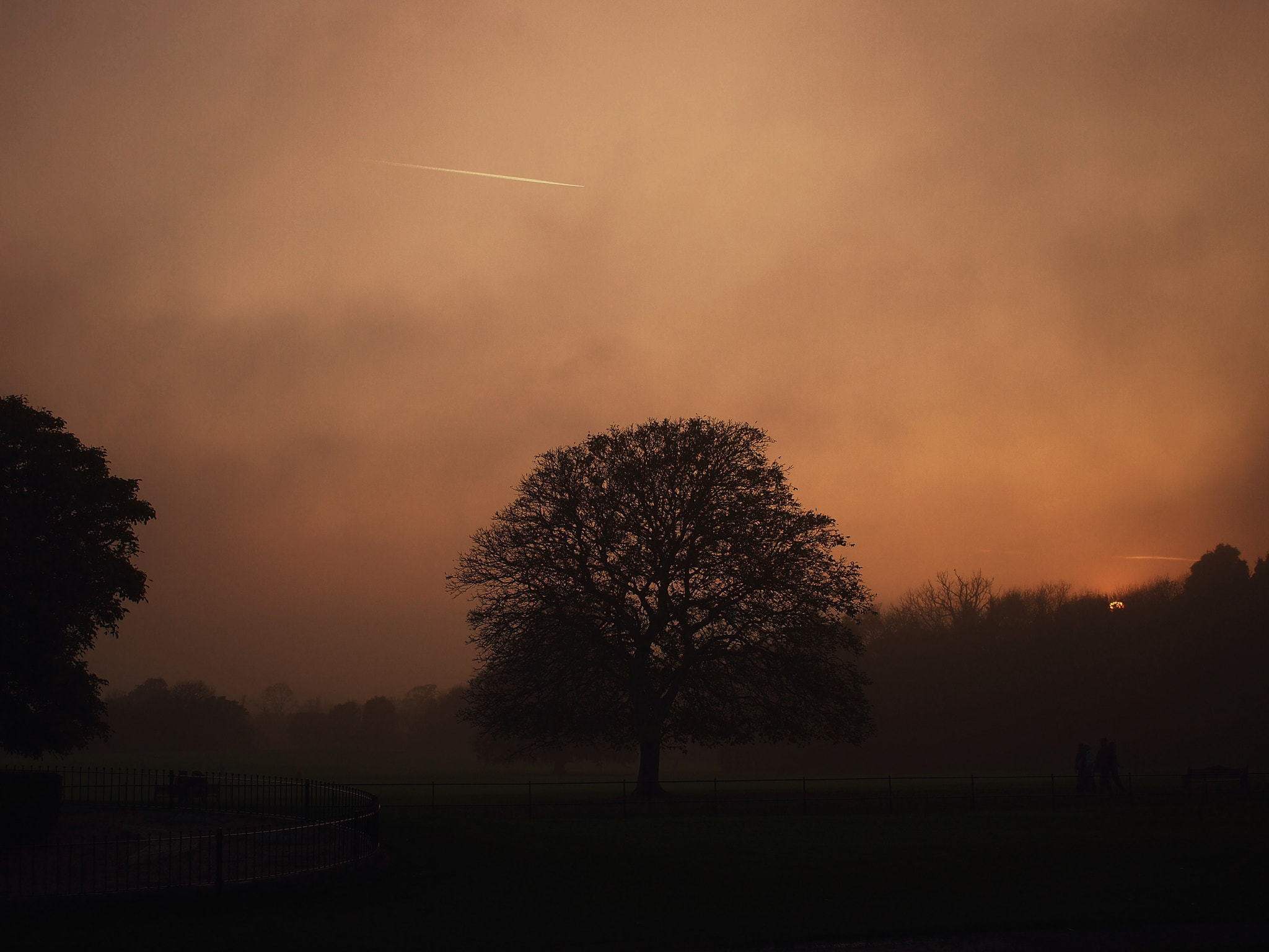 Olympus PEN E-PM1 + Sigma 30mm F2.8 EX DN sample photo. Foggy evening photography