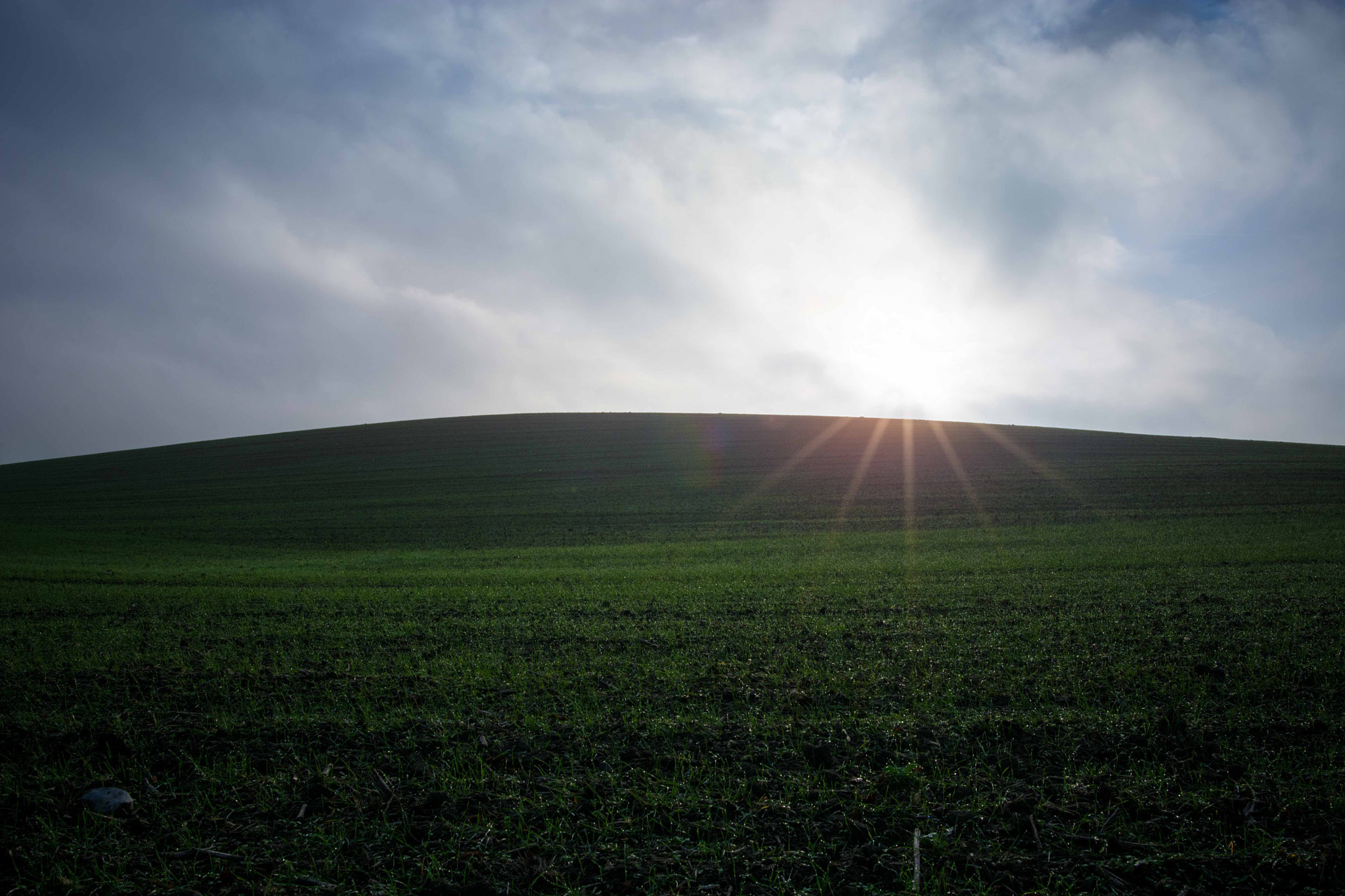 Nikon D7100 + Nikon AF-S Nikkor 20mm F1.8G ED sample photo. Simple photography
