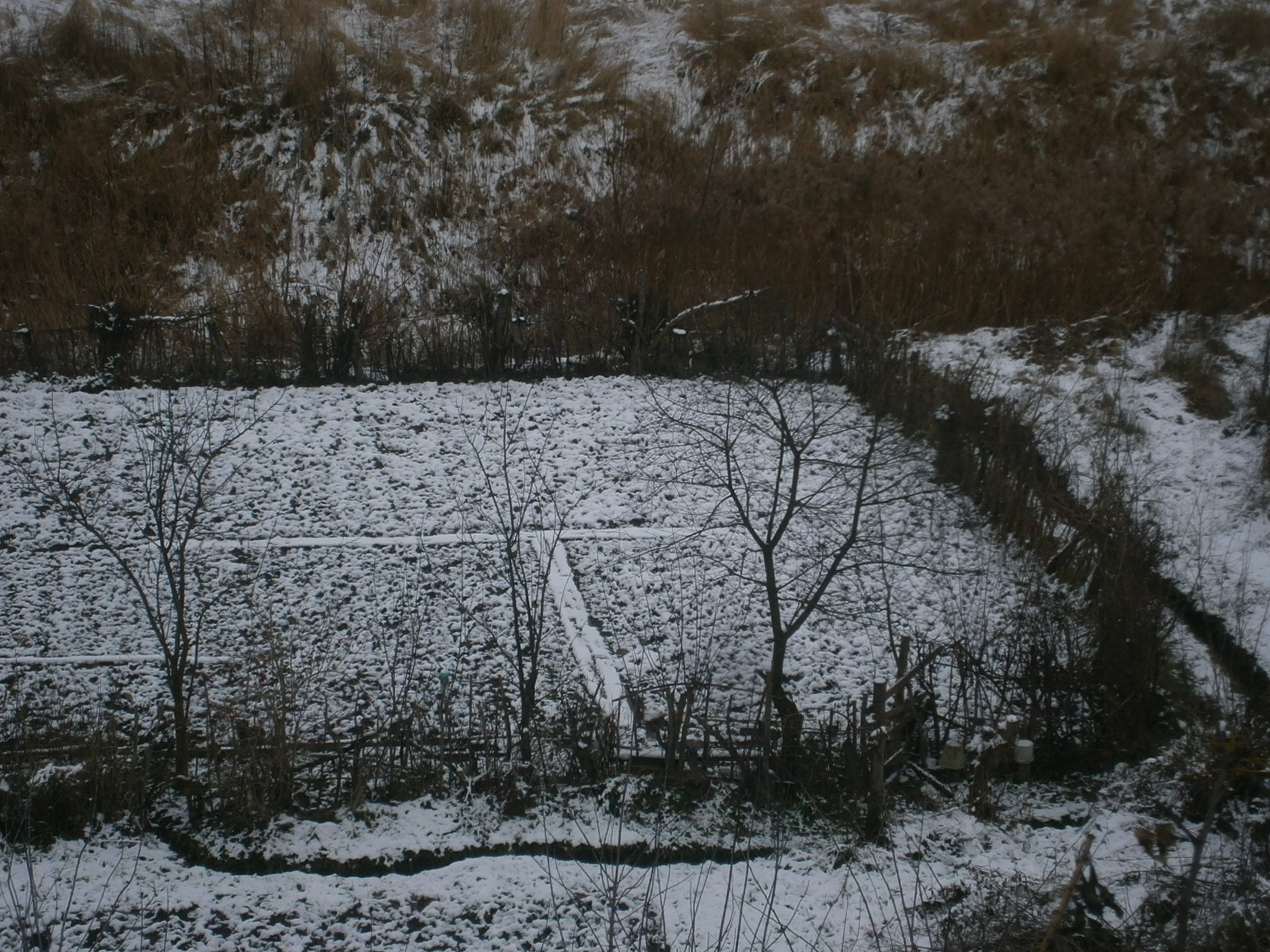 Olympus VG130,D710 sample photo. Winter photography