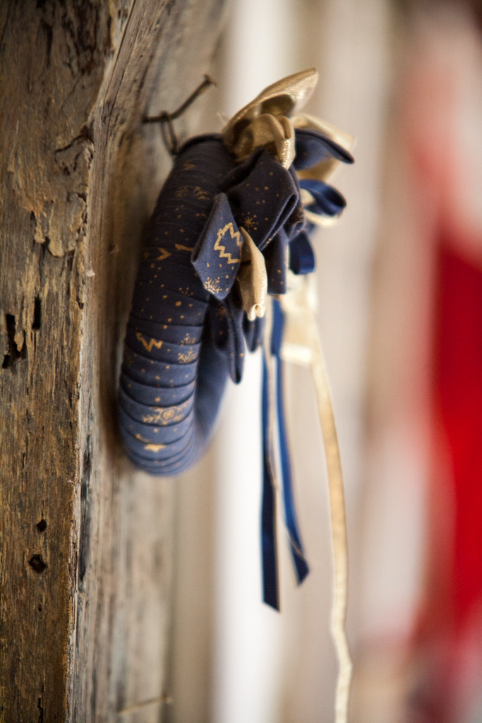 Canon EOS-1Ds Mark II sample photo. The decoration photography