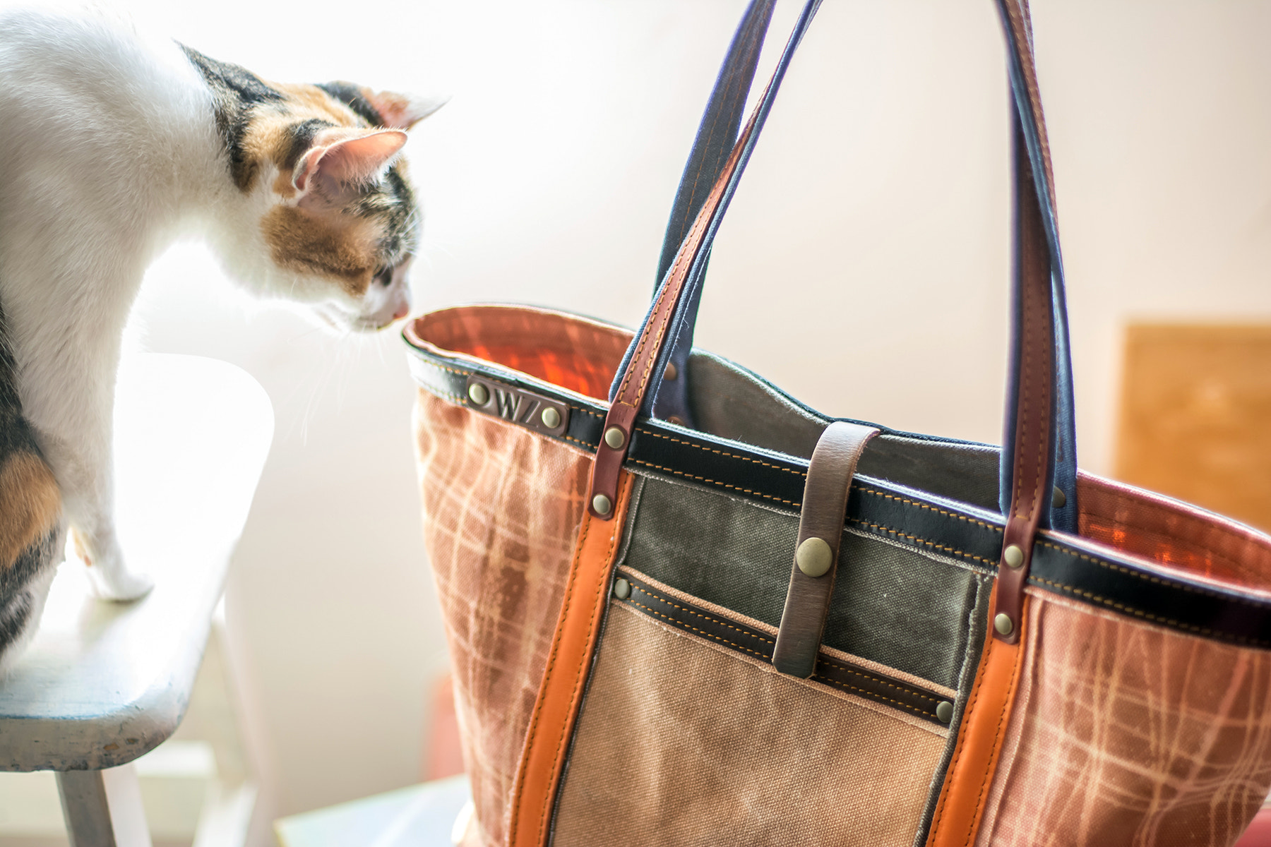 Nikon D7100 + AF Nikkor 50mm f/1.4 sample photo. 151130-2.jpg photography