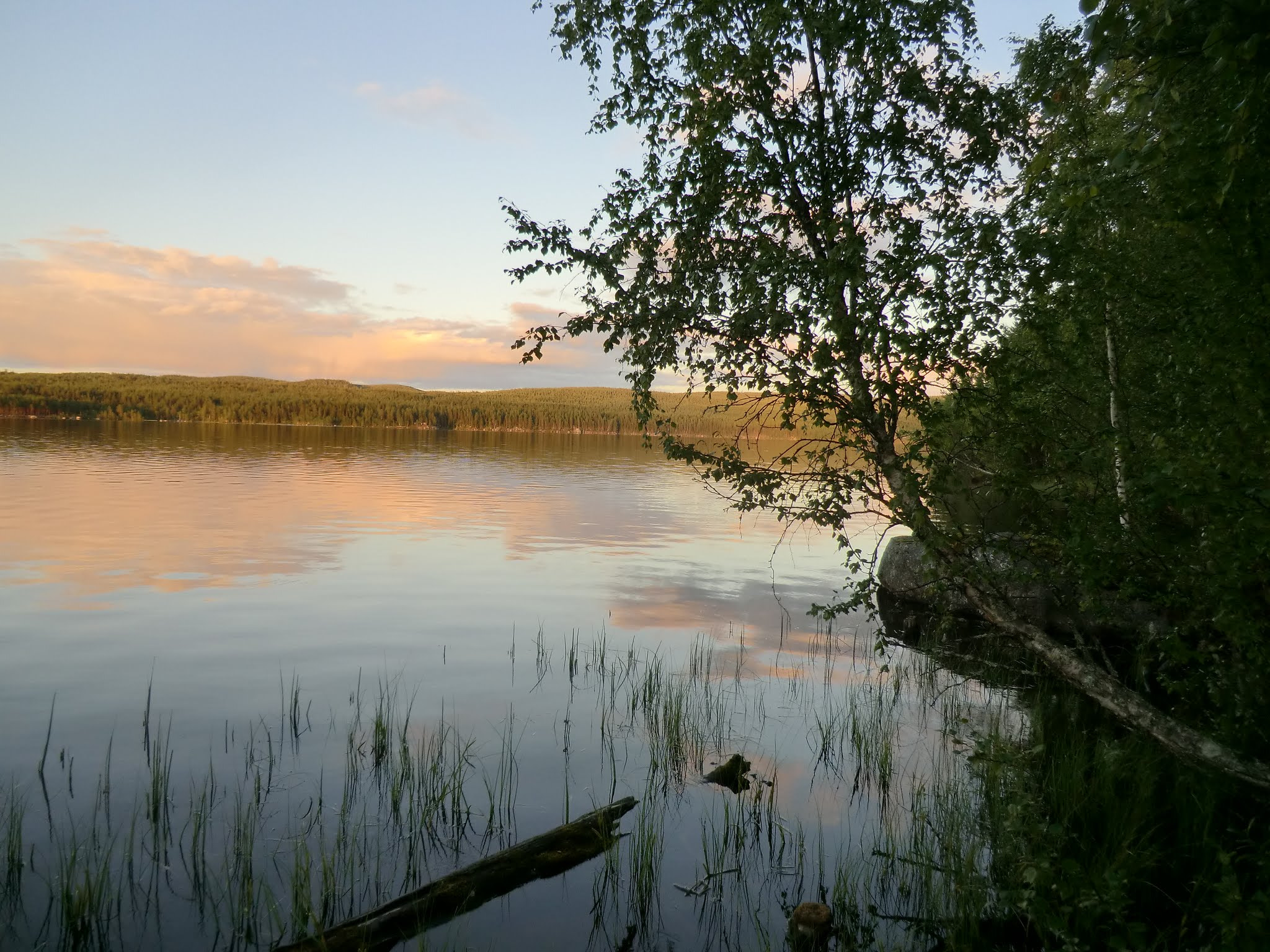 CASIO EX-H5 sample photo. Lappland sweden photography