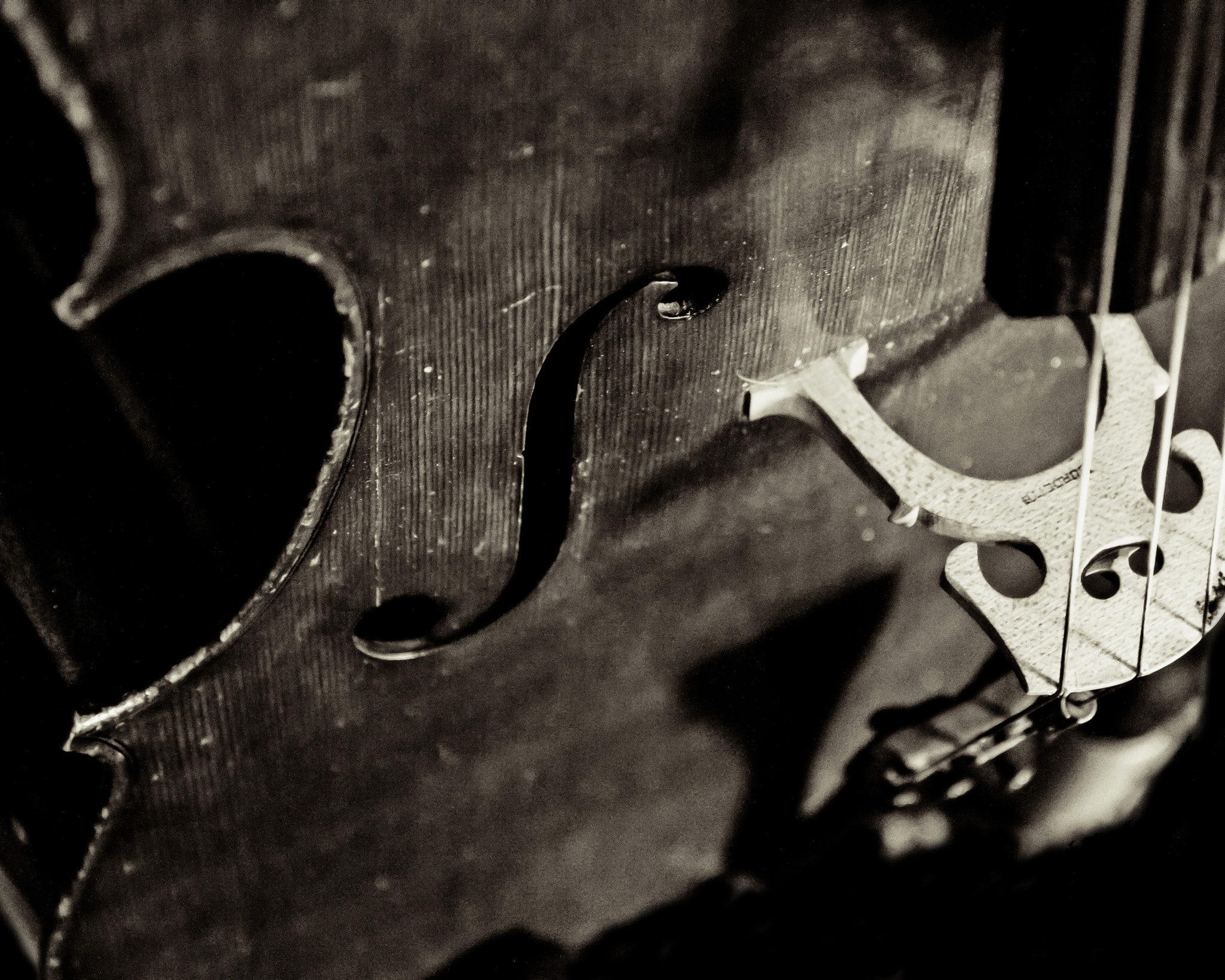 Canon EOS 500D (EOS Rebel T1i / EOS Kiss X3) sample photo. Cello bridge photography