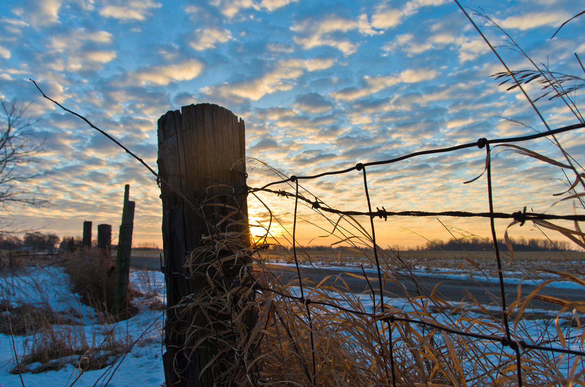 Pentax K-50 + HD Pentax DA 15mm F4 ED AL Limited sample photo. Barbs photography