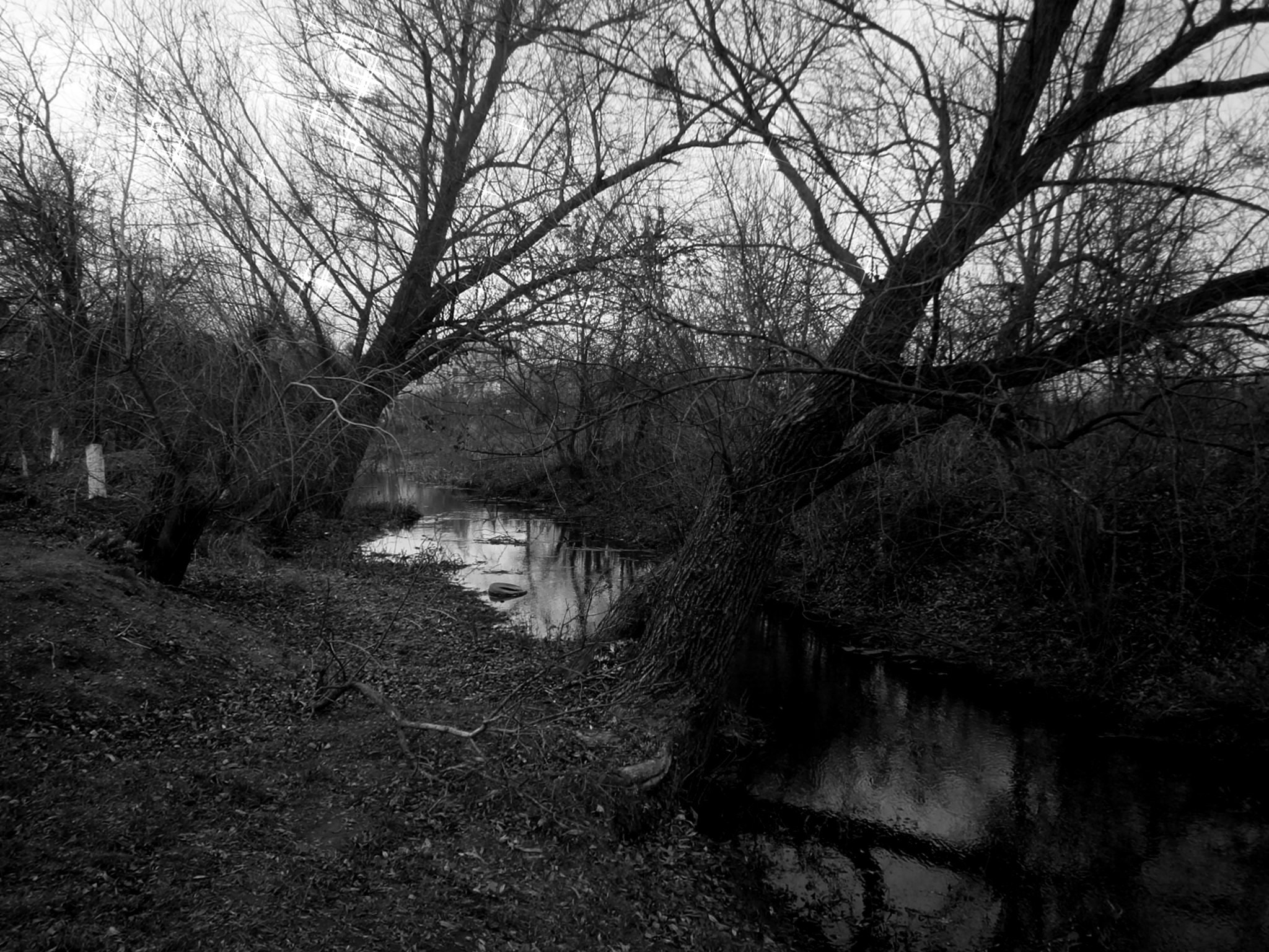 Olympus VG130,D710 sample photo. Small river photography