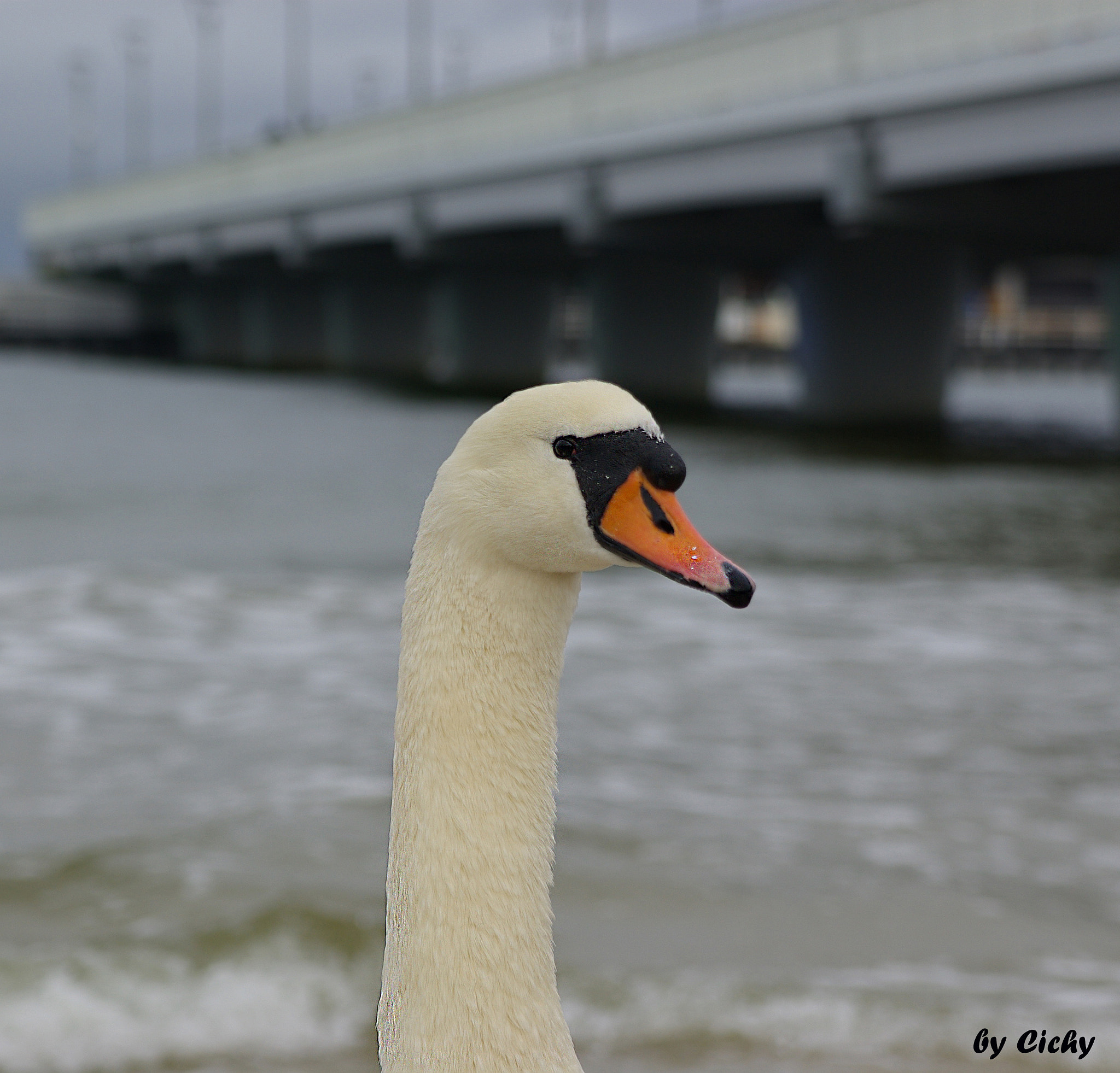 Tamron AF 28-75mm F2.8 XR Di LD Aspherical (IF) sample photo. Tak dobrze ? photography