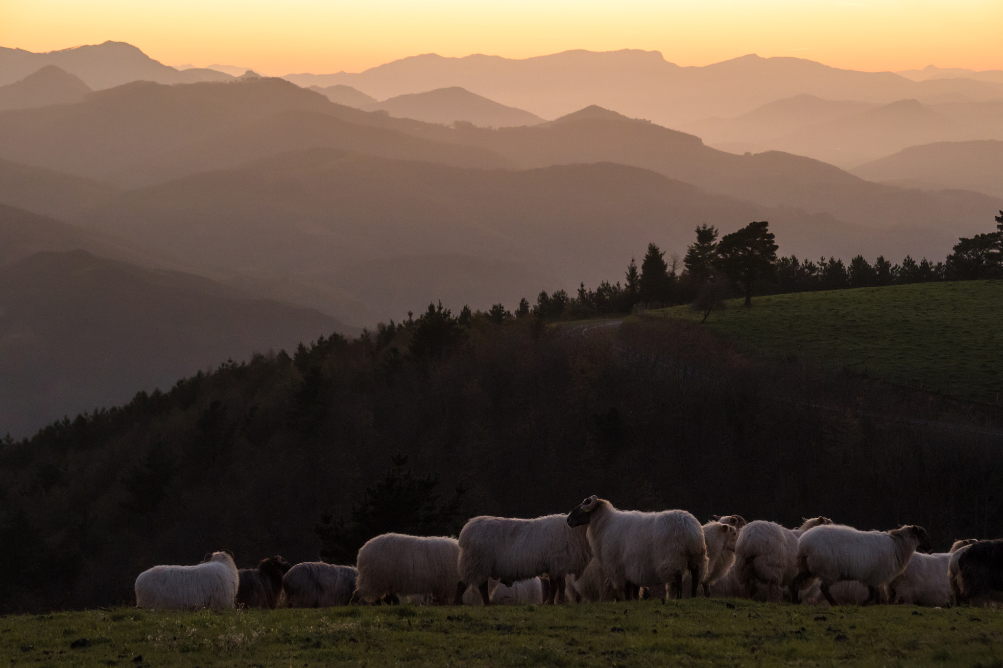 Sigma 18-125mm f/3.5-5.6 DC IF ASP sample photo. Bask country photography