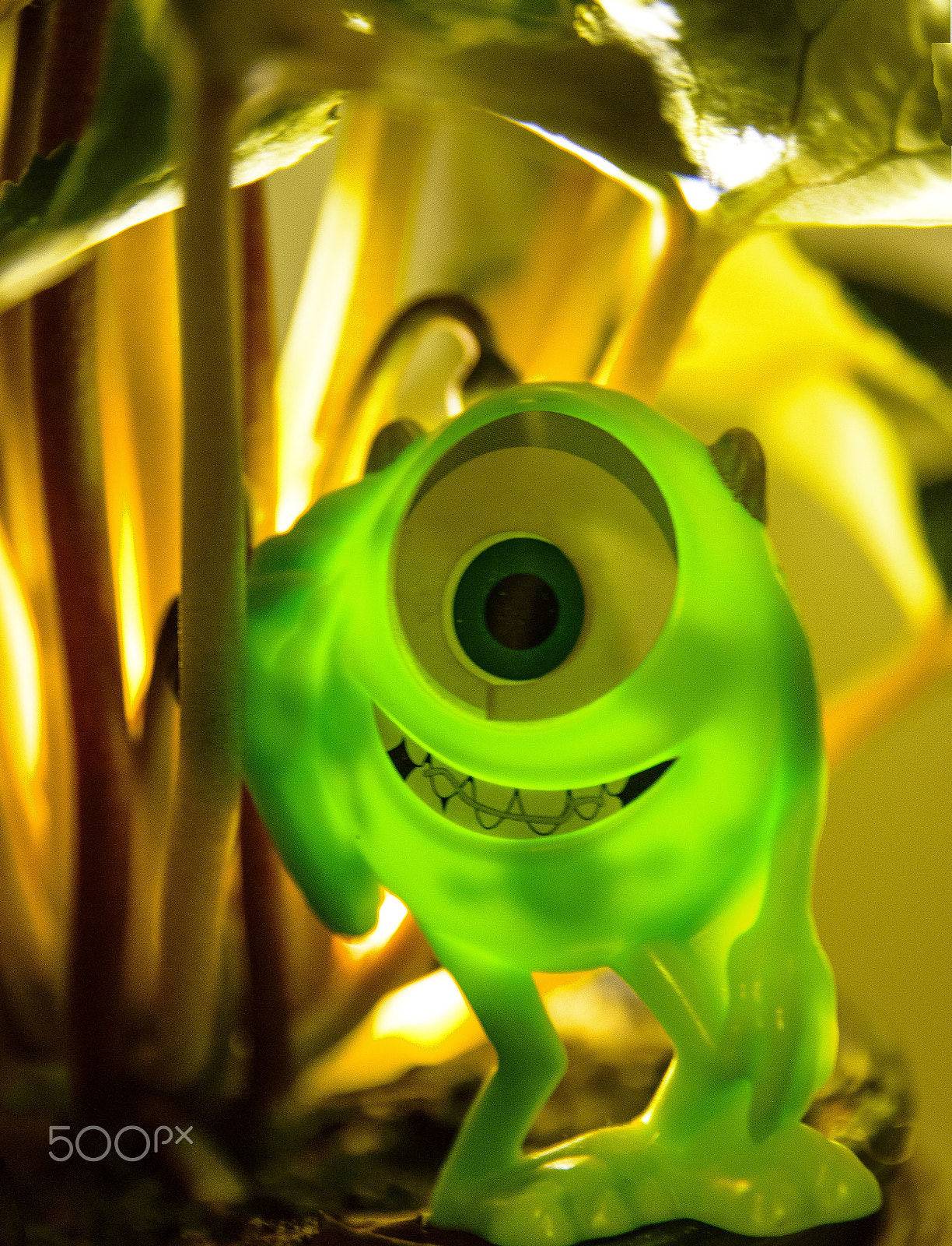Sigma 17-70mm F2.8-4 DC Macro OS HSM | C sample photo. Green monster photography