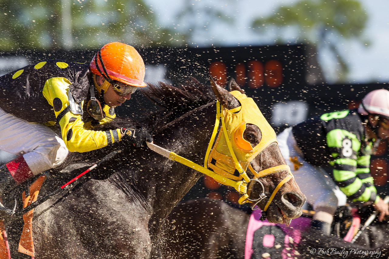 Canon EF 300mm F2.8L IS II USM sample photo. Heading down the home stretch photography