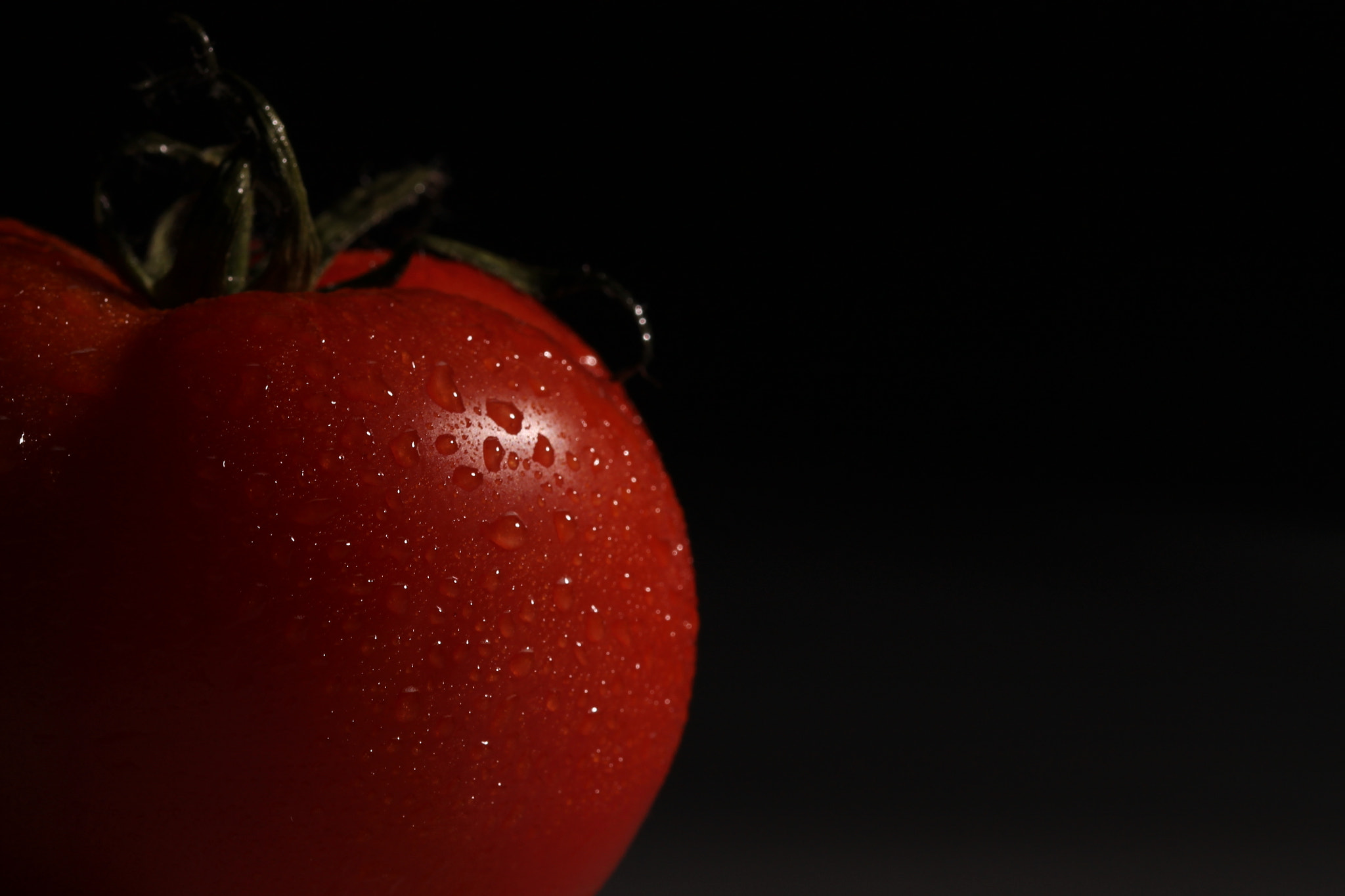 Sigma 105mm F2.8 EX DG OS HSM sample photo. Red photography