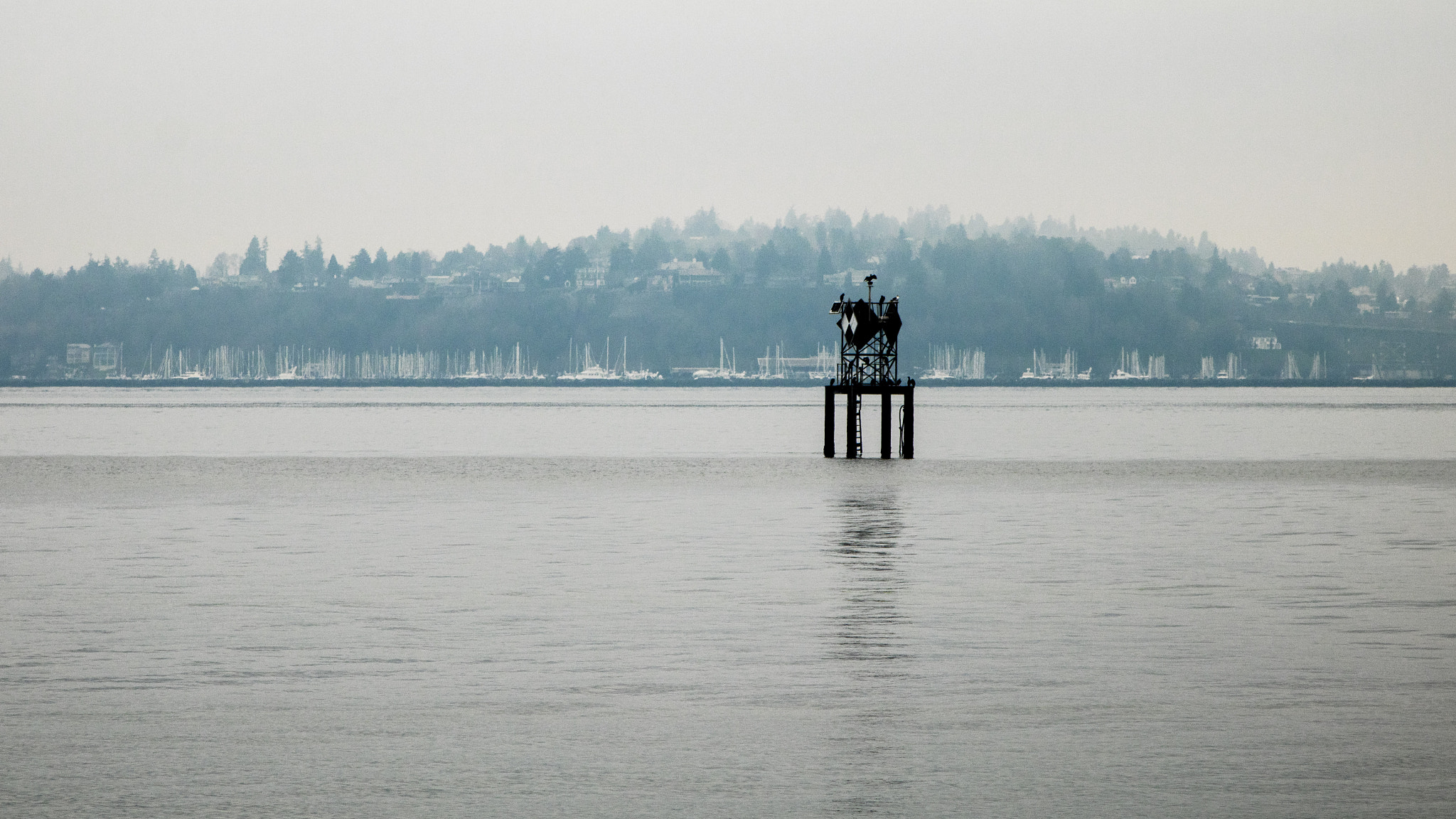 Canon EOS 750D (EOS Rebel T6i / EOS Kiss X8i) sample photo. Sail boats on queen ann photography