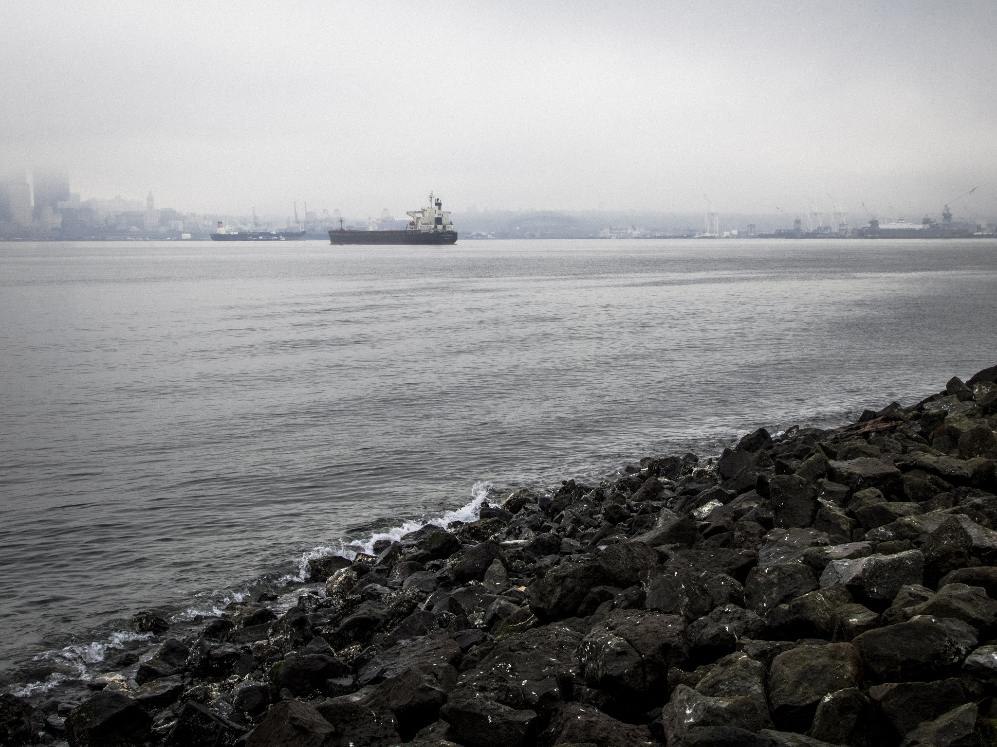 Canon EOS 750D (EOS Rebel T6i / EOS Kiss X8i) sample photo. Freighter on puget sound photography