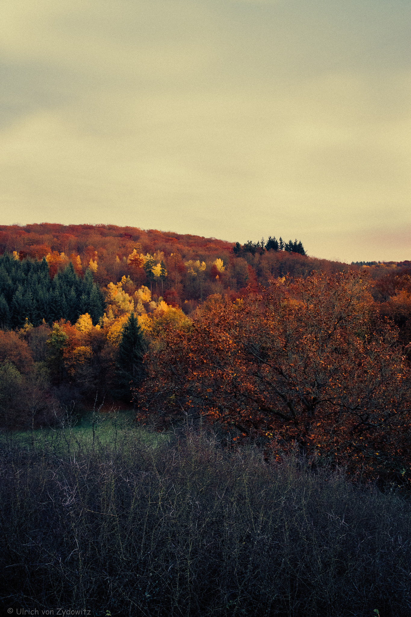 Pentax K-S1 sample photo. Autumn colours photography