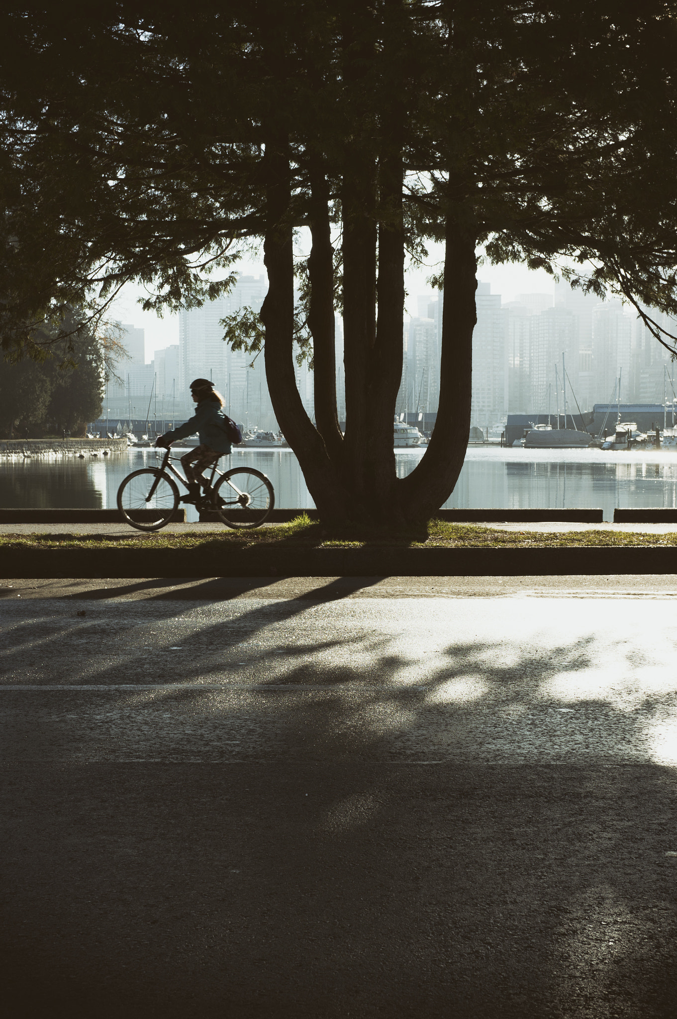 Sony Alpha NEX-6 + E 32mm F1.8 sample photo. Stanley park, vancouver | british columbia photography