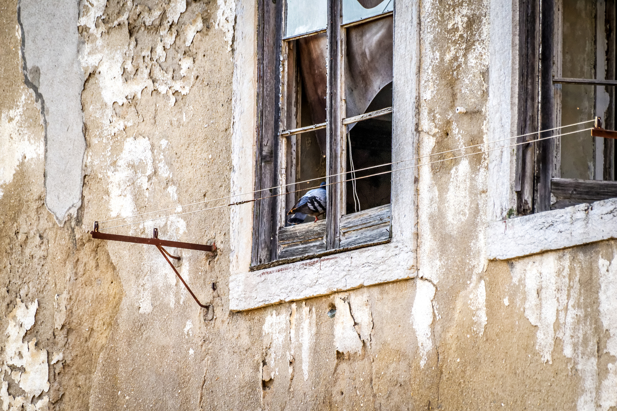 Sigma 70-300mm F4-5.6 APO DG Macro sample photo. Pigeon house photography