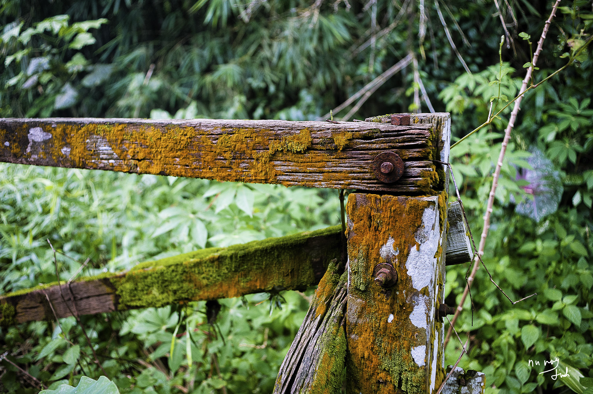Nikon D700 + AF Nikkor 28mm f/2.8 sample photo. Left behind.jpg photography