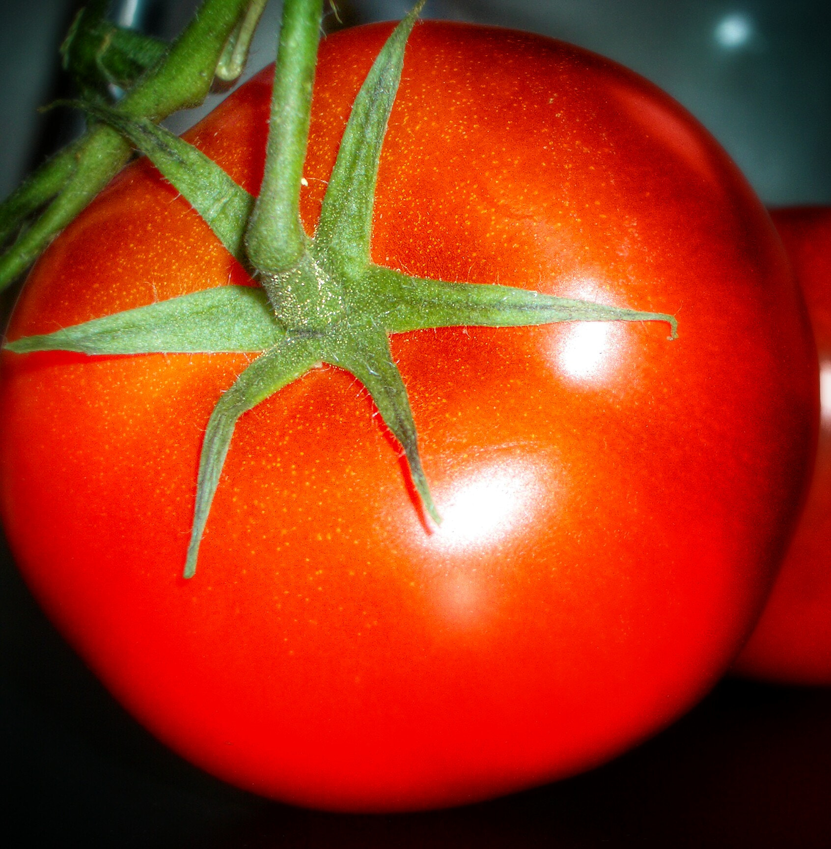 Pentax OPTIO S4I sample photo. Naturally red photography