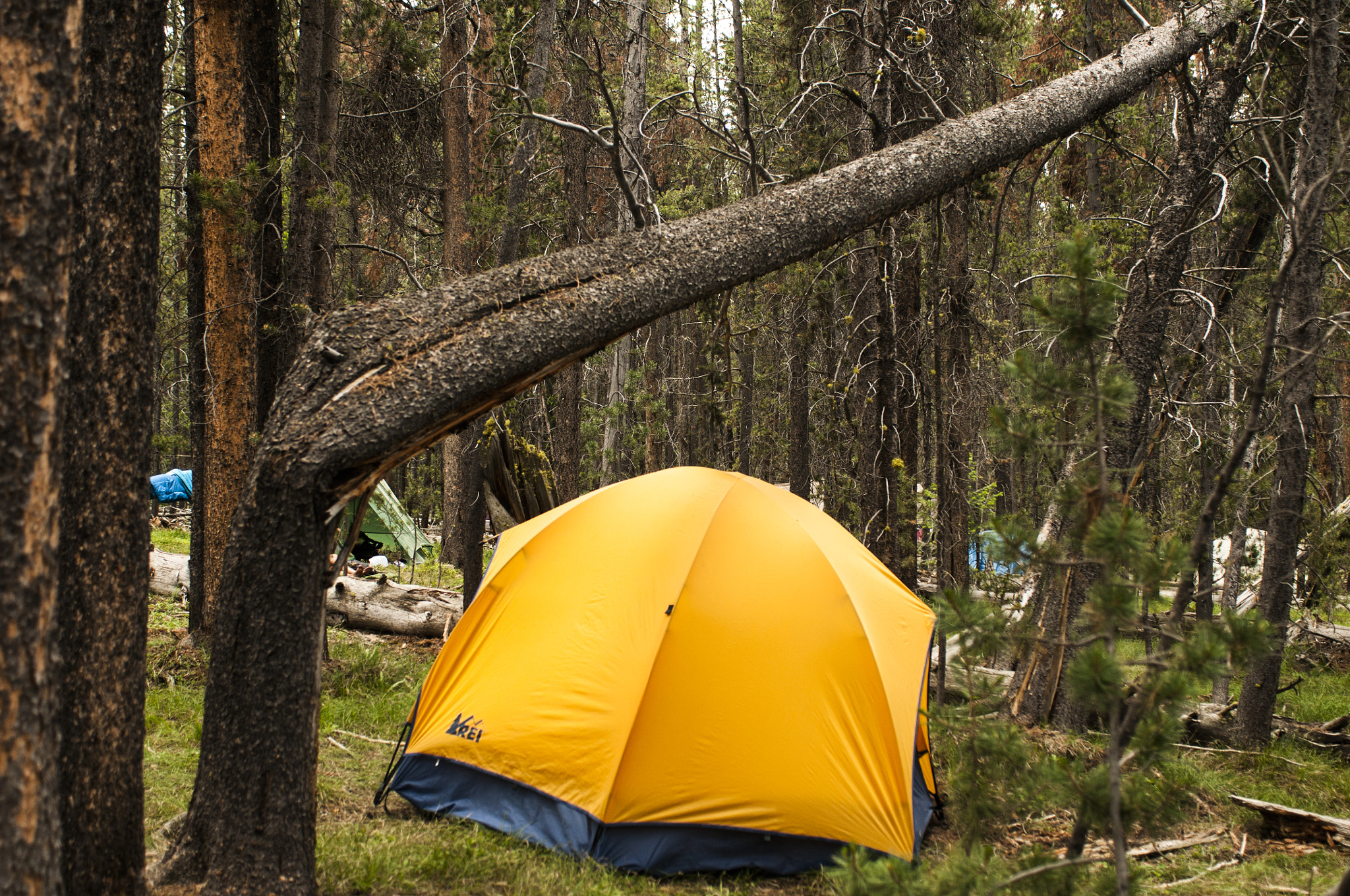 Nikon AF-S Nikkor 28-70mm F2.8 ED-IF sample photo. Best tent placement ever photography