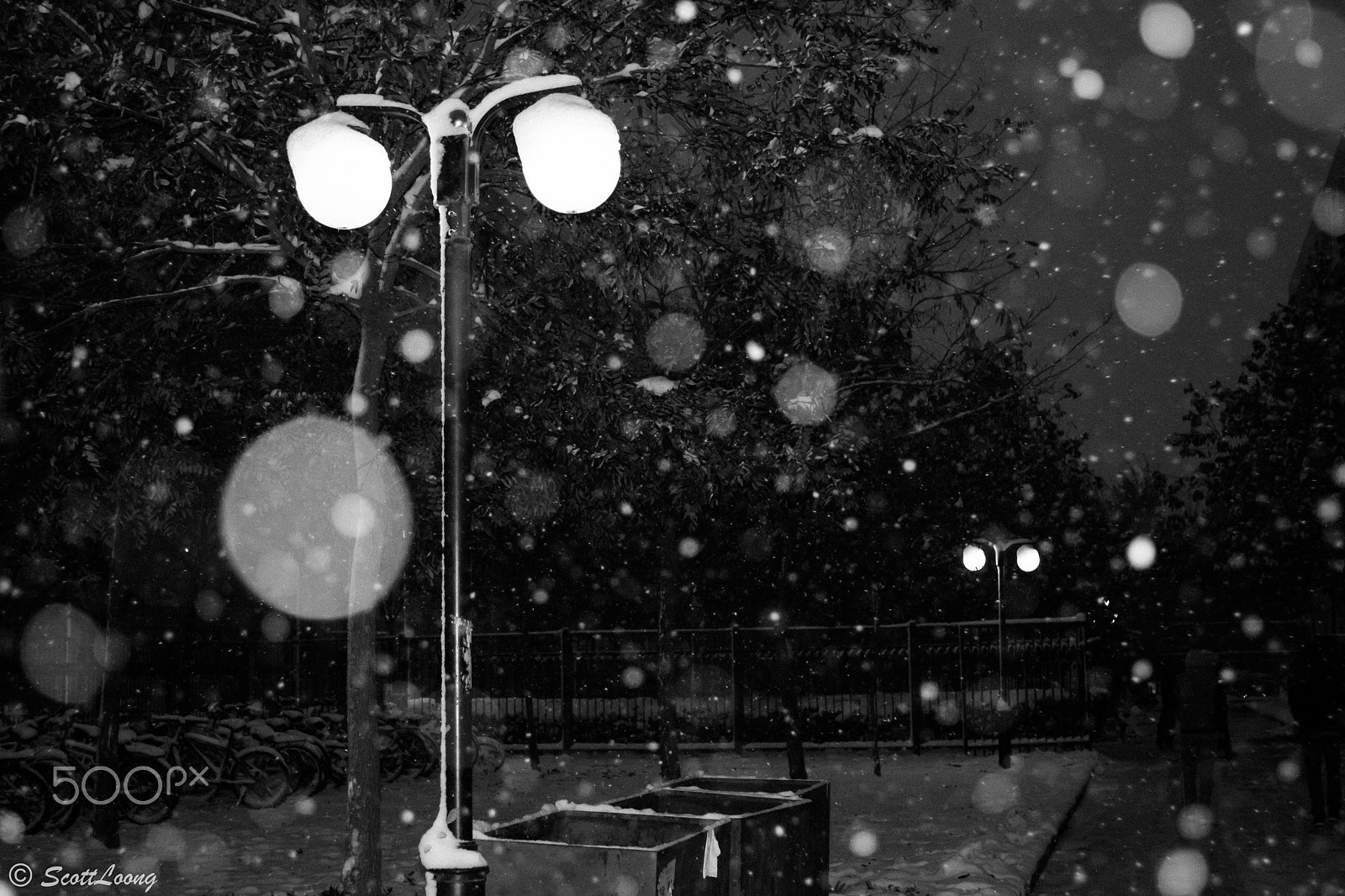 Canon EOS 100D (EOS Rebel SL1 / EOS Kiss X7) + Canon EF 28-70mm f/3.5-4.5 sample photo. First snowfall photography