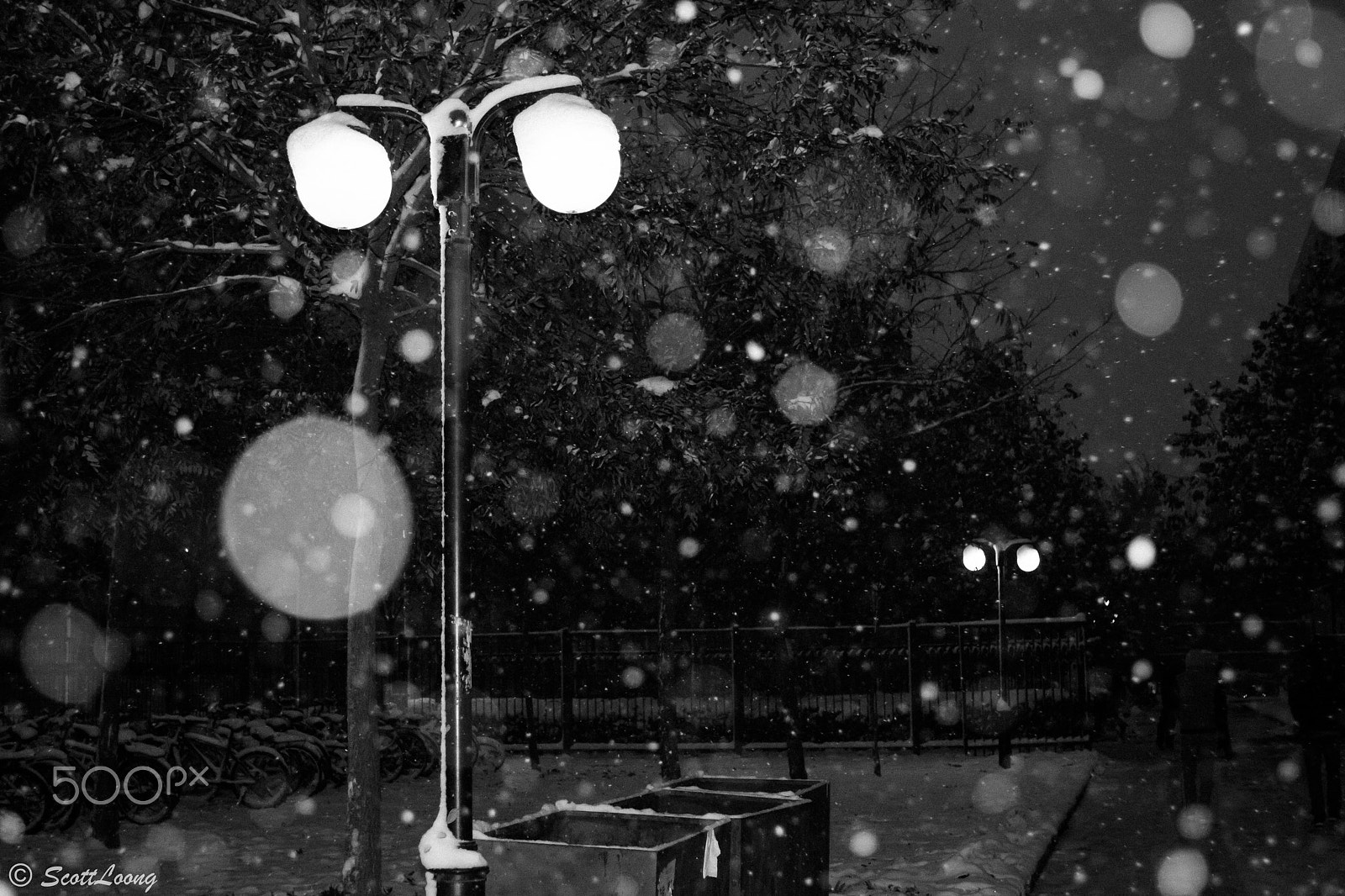 Canon EF 28-70mm f/3.5-4.5 sample photo. First snowfall photography