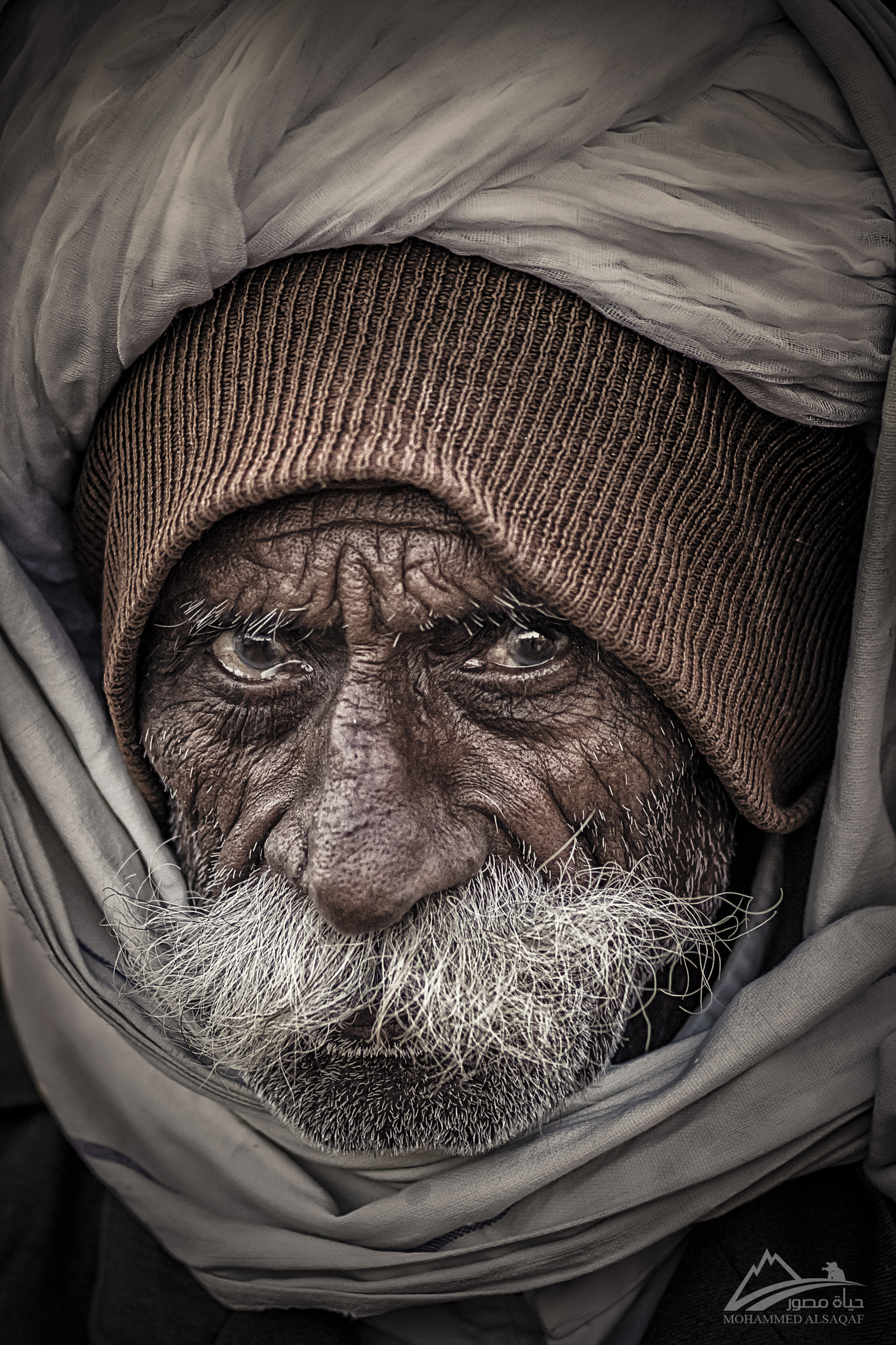 Sony a99 II + Sony 100mm F2.8 Macro sample photo. The face of age photography