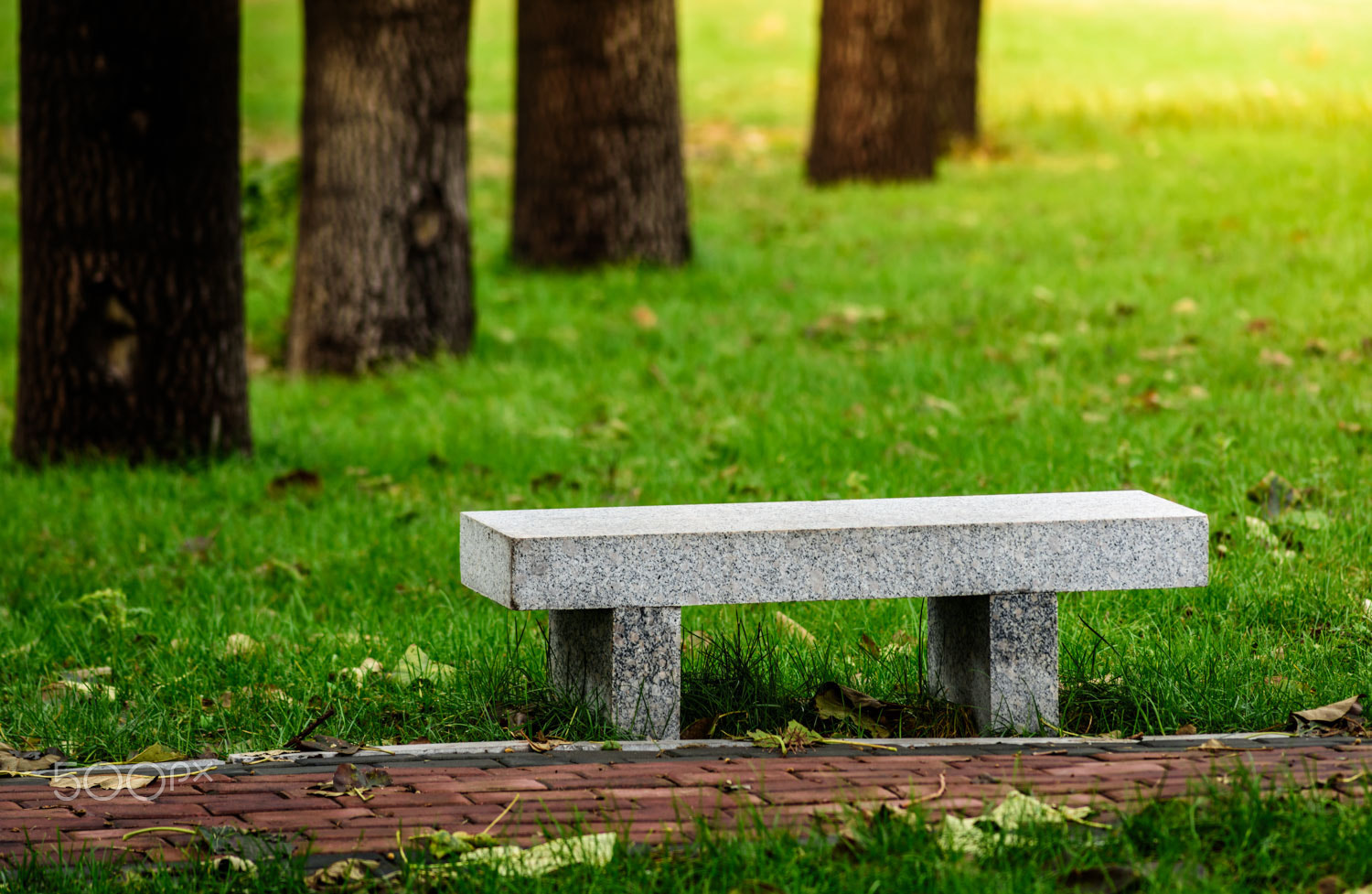 Nikon D810 + Nikon AF Nikkor 180mm F2.8D ED-IF sample photo. Park in the afternoon photography