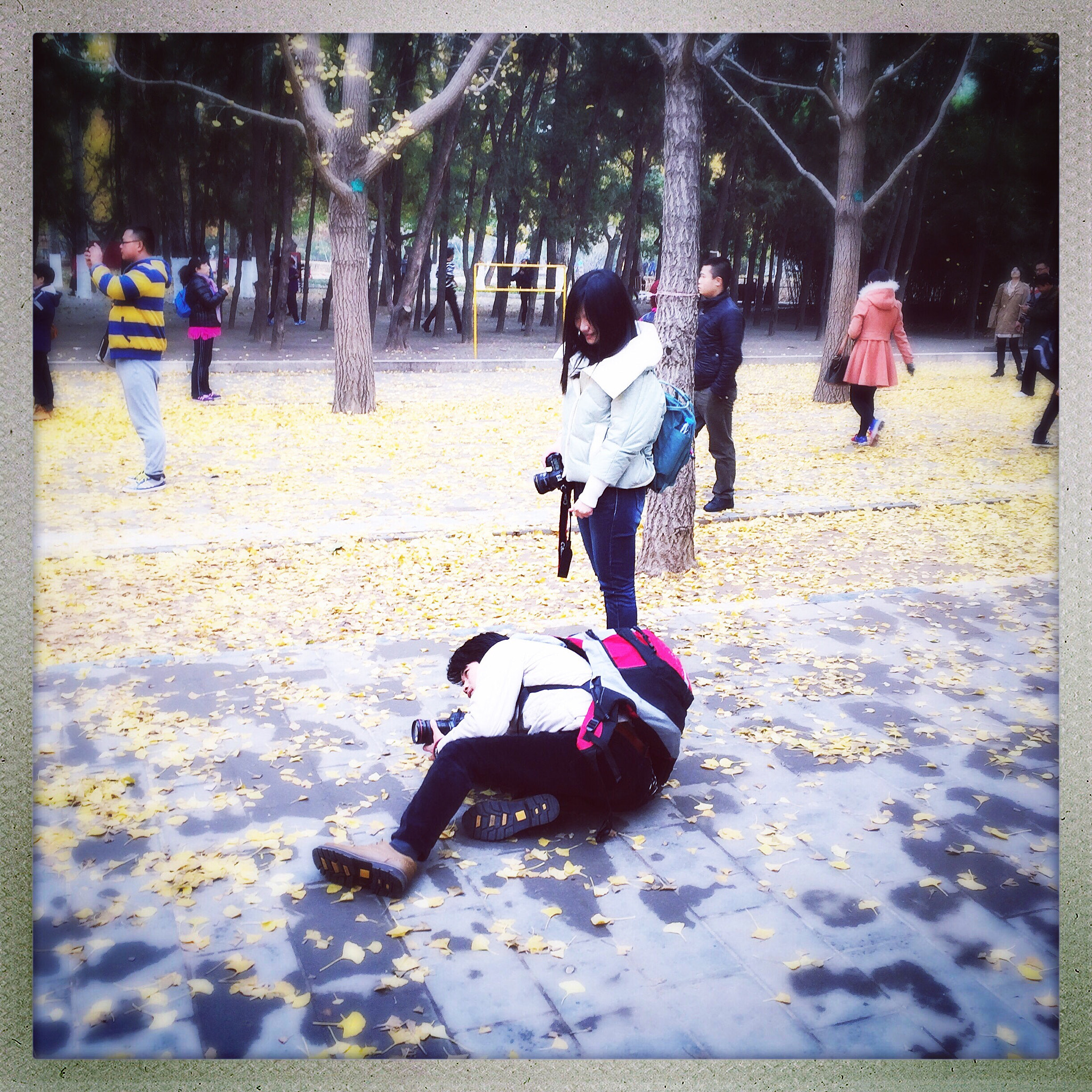 Hipstamatic 303 sample photo. 拍银杏的人们 photography