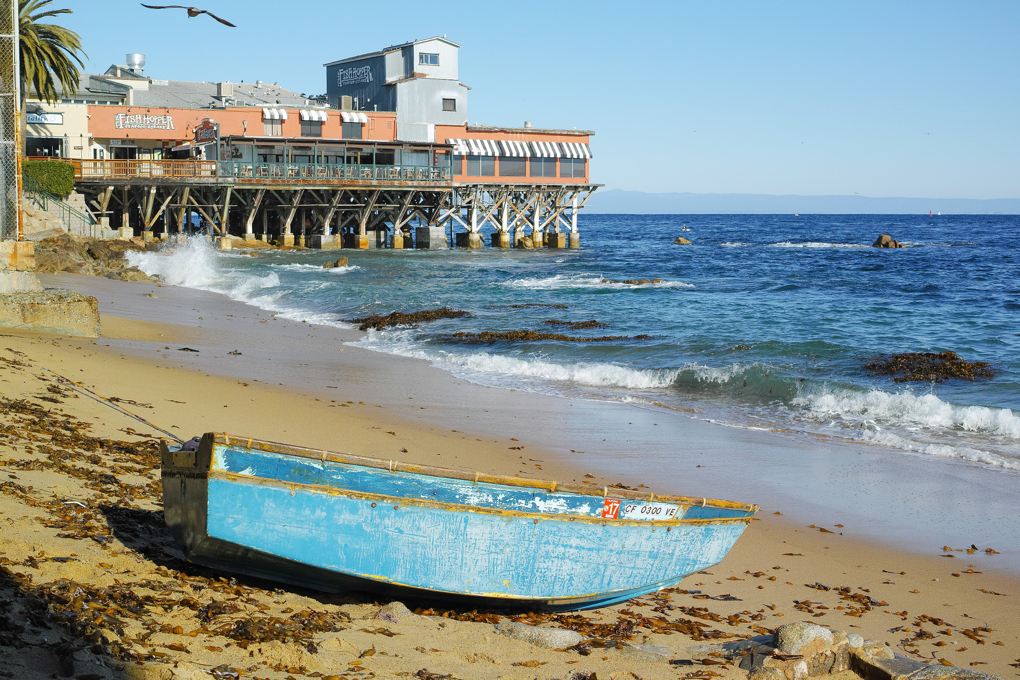 1007 sample photo. Quintessential monterey photography