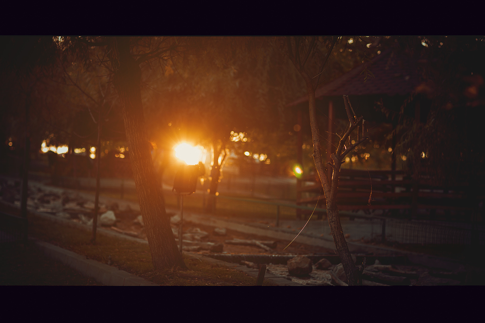 Canon EOS-1Ds Mark II sample photo. Vc8y7702-2.jpg photography