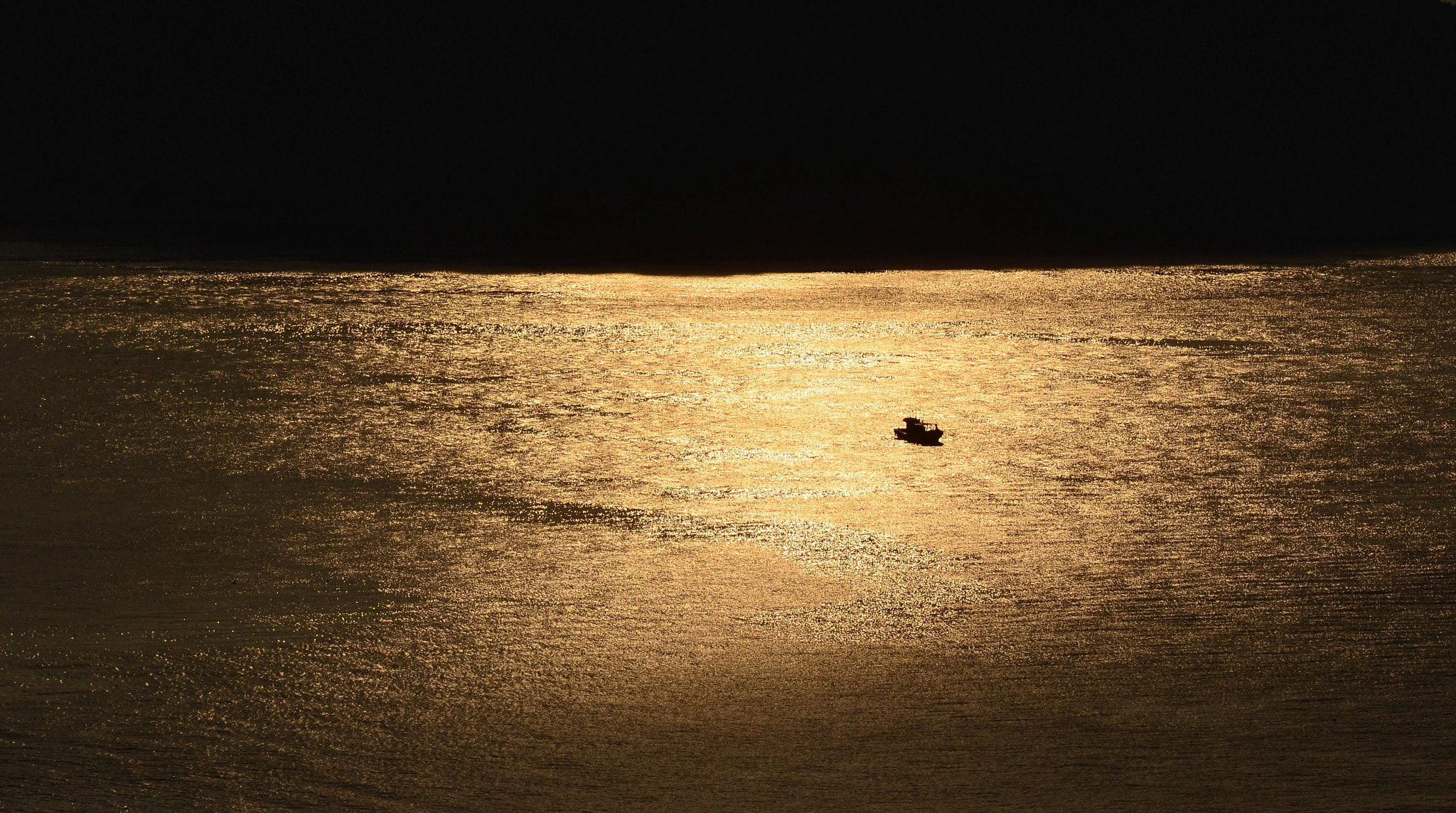 Nikon D7000 + AF Micro-Nikkor 105mm f/2.8 sample photo. Fishing on the gold sea photography