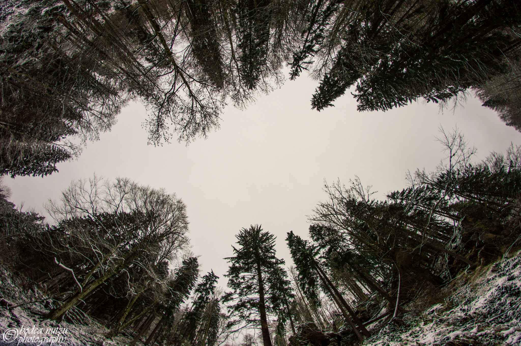 Nikon D3200 + Samyang 8mm F3.5 Aspherical IF MC Fisheye sample photo. Winter begins photography