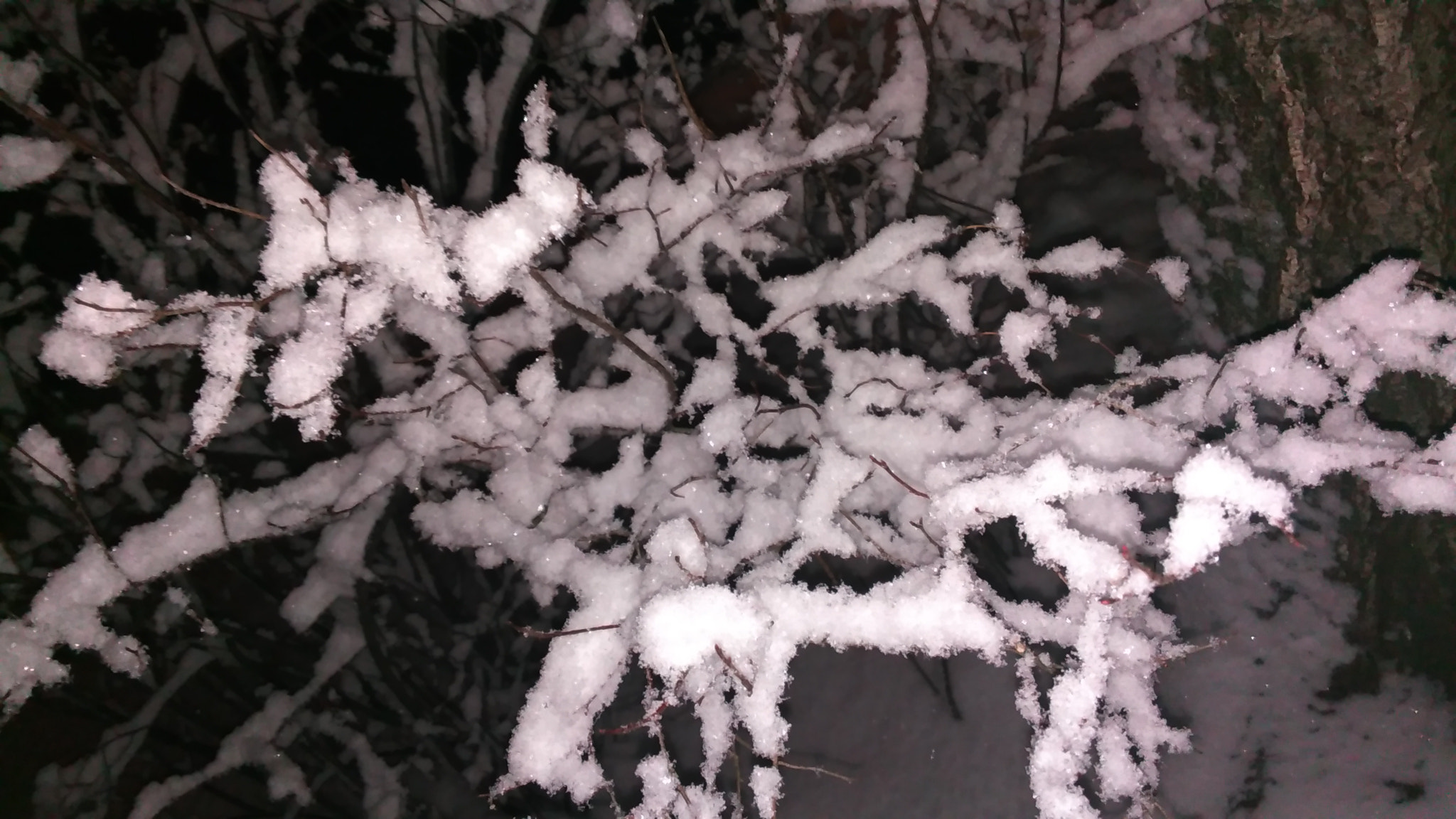 Lenovo S60-A sample photo
