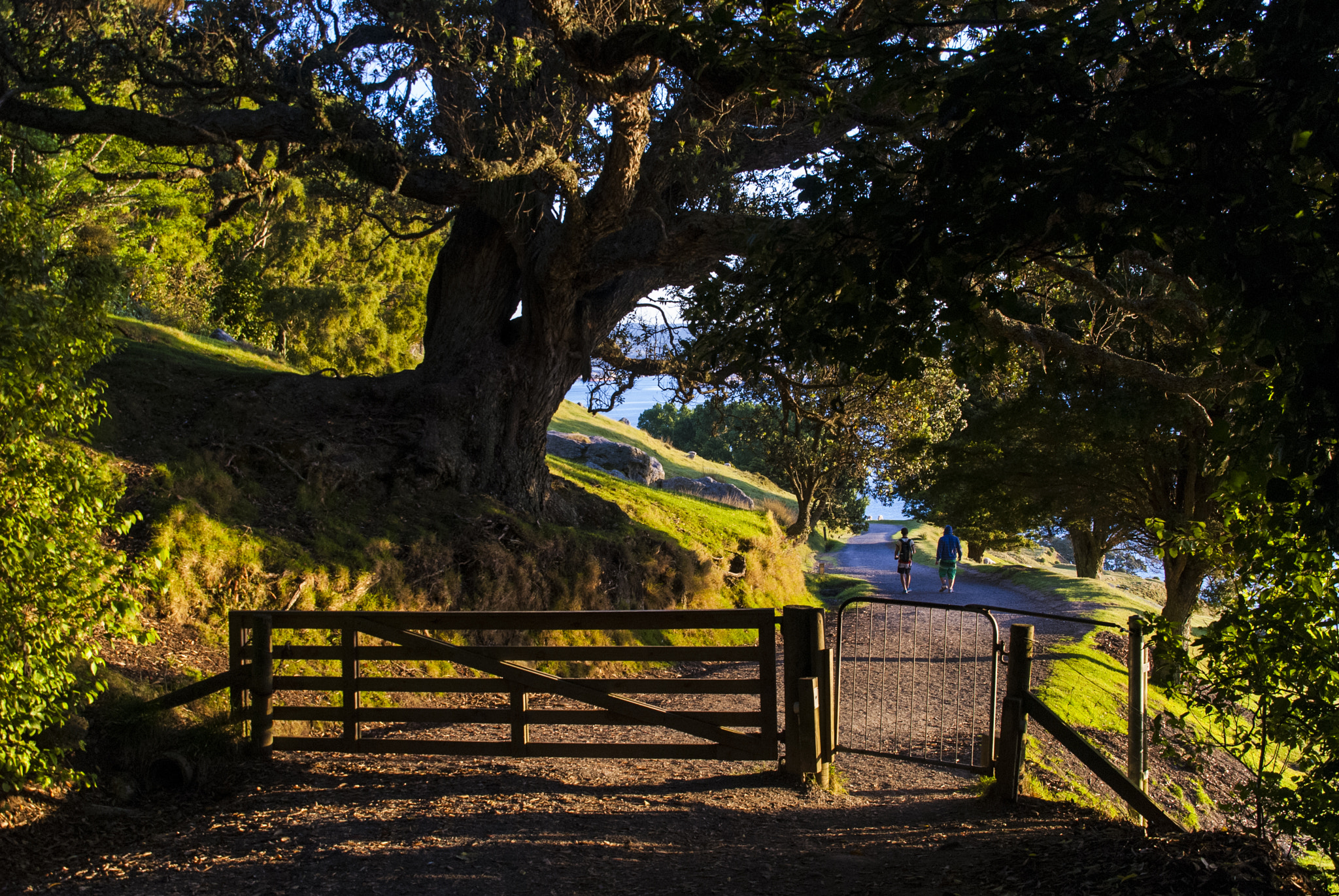 Nikon D200 + Sigma 18-200mm F3.5-6.3 DC sample photo. Walking at hills photography