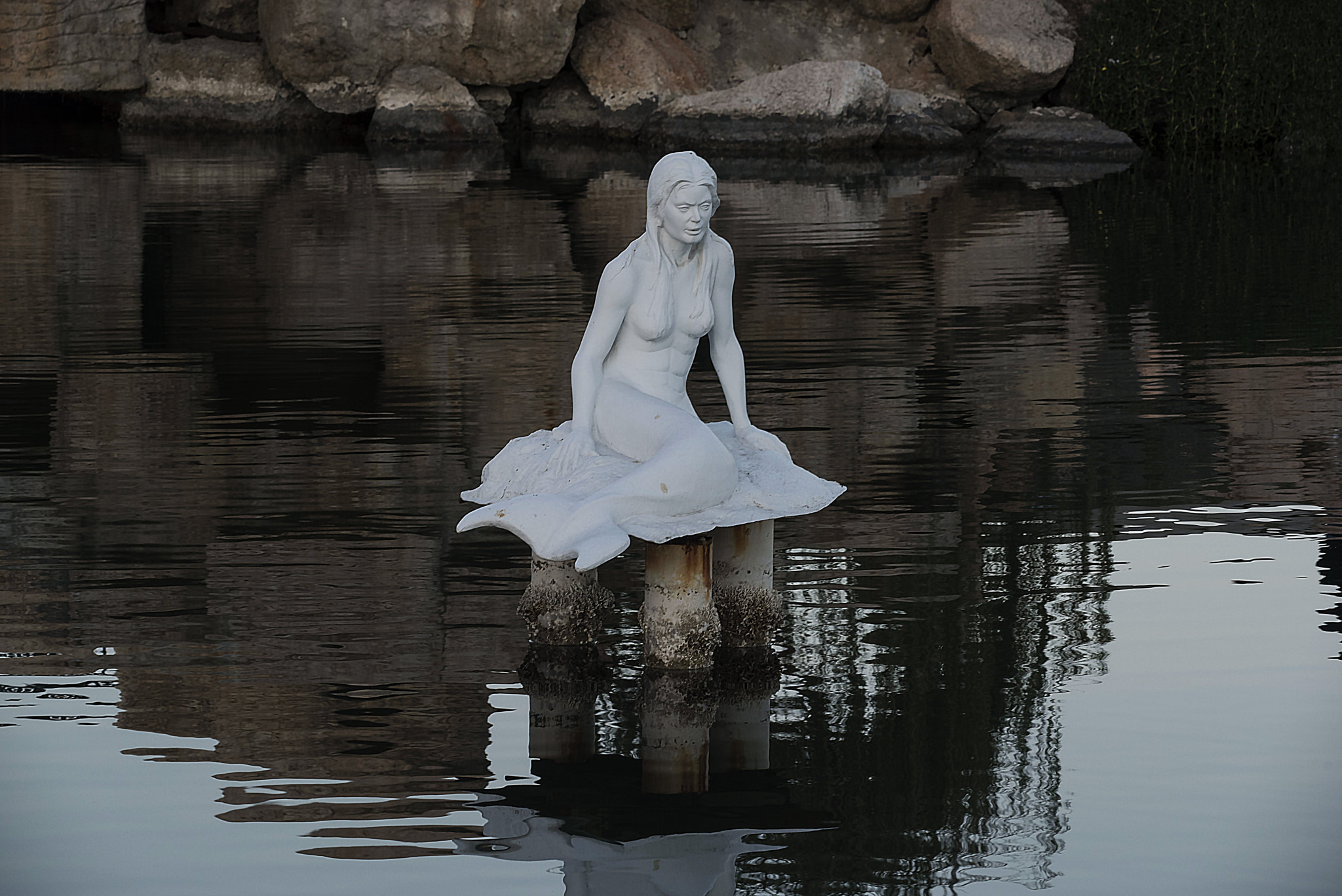 Sigma 150mm F2.8 EX DG Macro HSM sample photo. Mermaid... photography