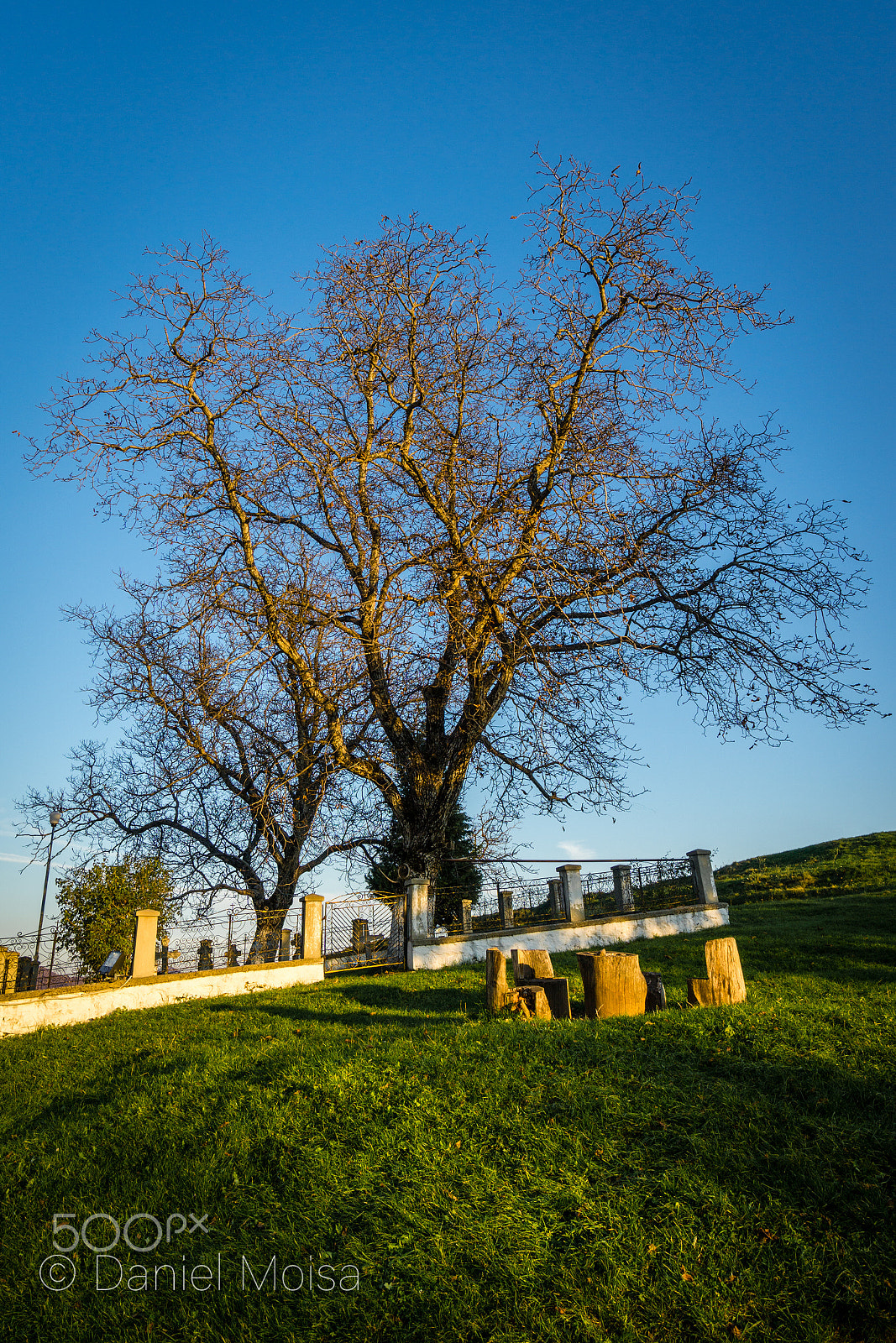 Sony a5100 + Sony E 10-18mm F4 OSS sample photo. After fall photography