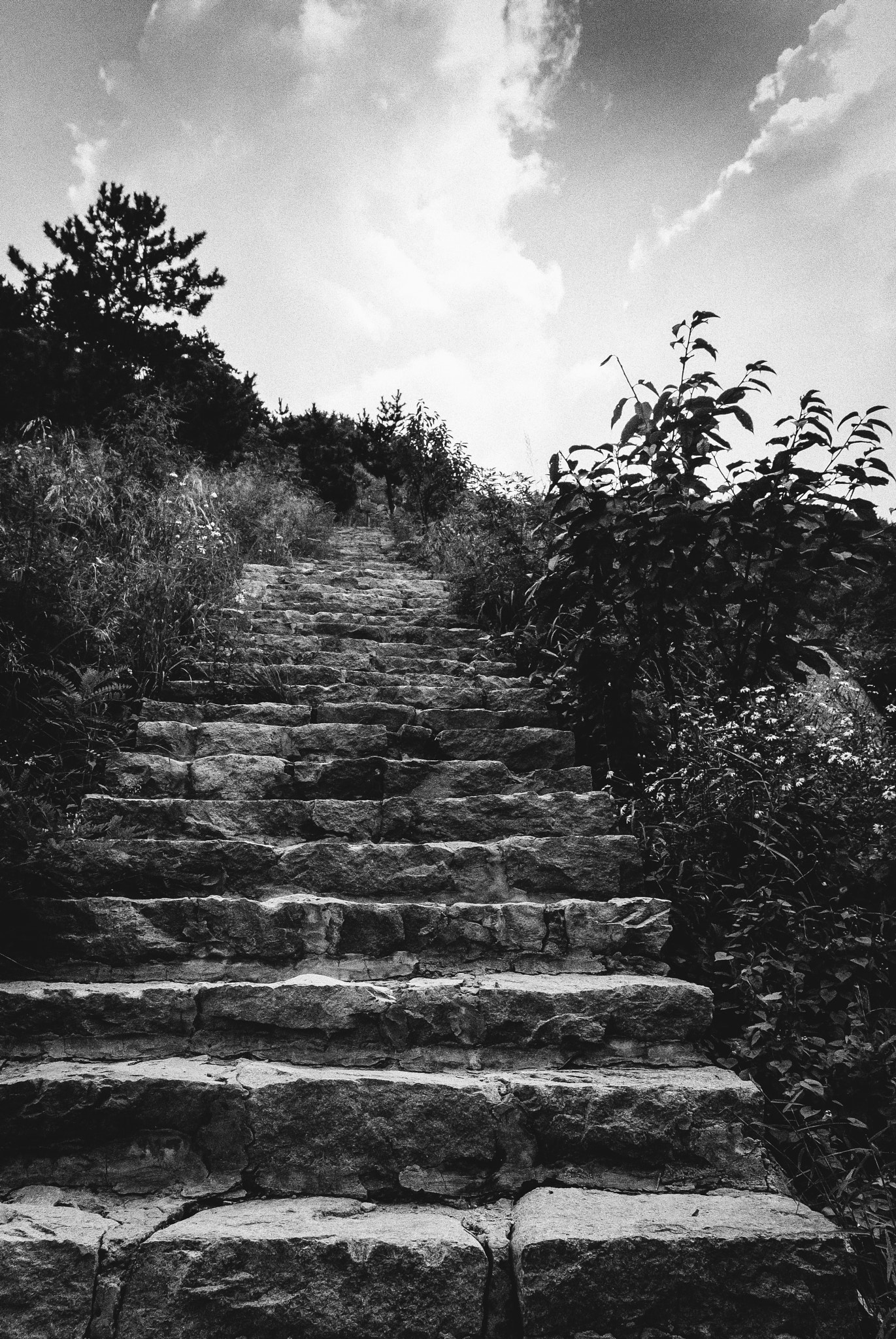 Nikon 1 Nikkor 11-27.5mm F3.5-5.6 sample photo. Climbing stairs photography