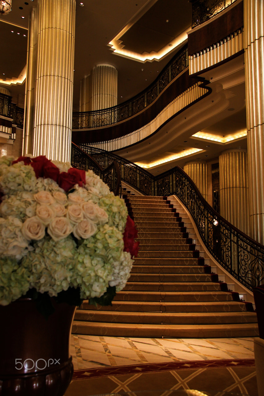 Canon EOS 50D + Tokina AT-X 12-28mm F4 Pro DX sample photo. St regis abu dhabi the lobby photography