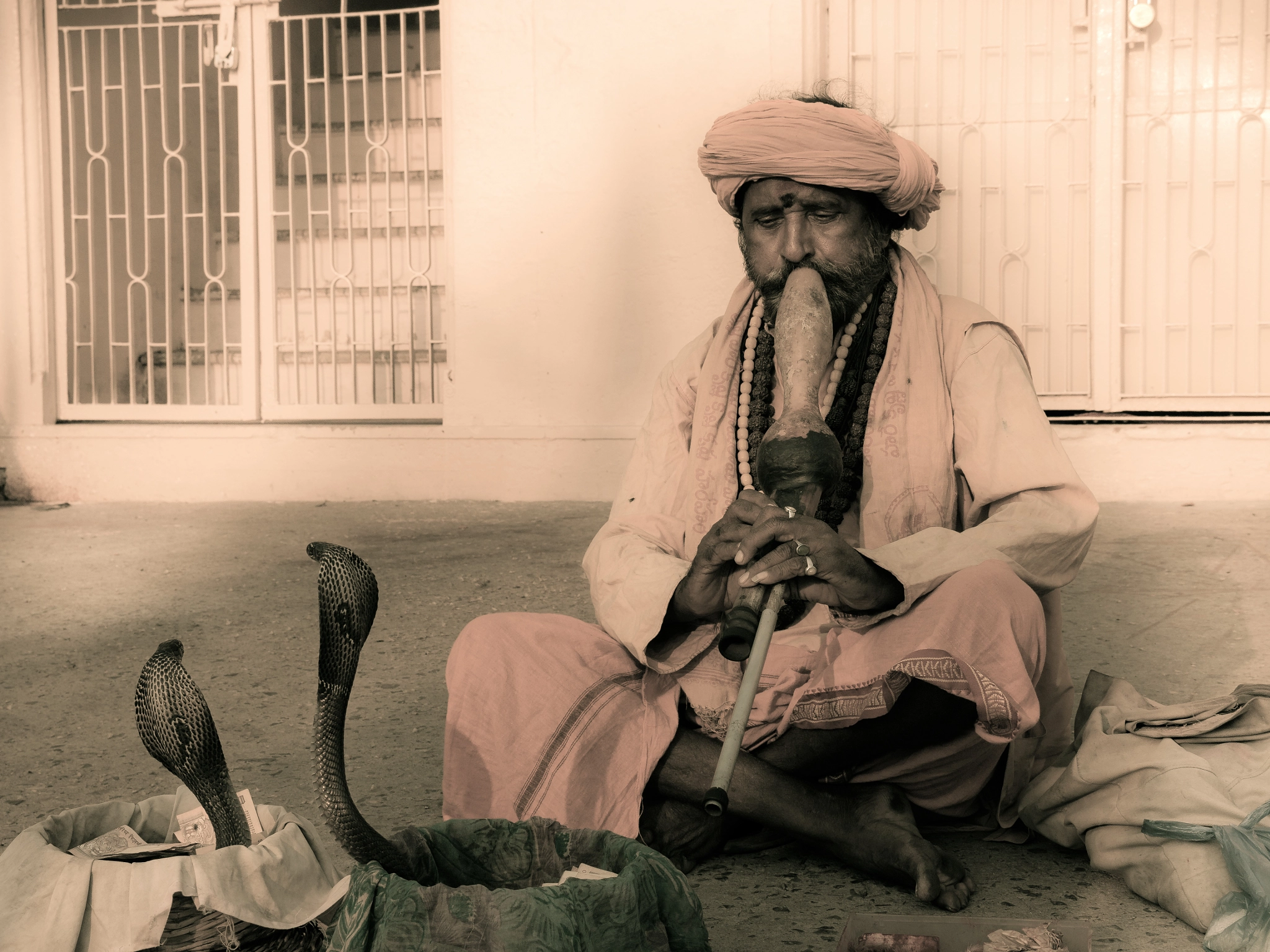 Panasonic Lumix DMC-G5 sample photo. The snake charmer photography