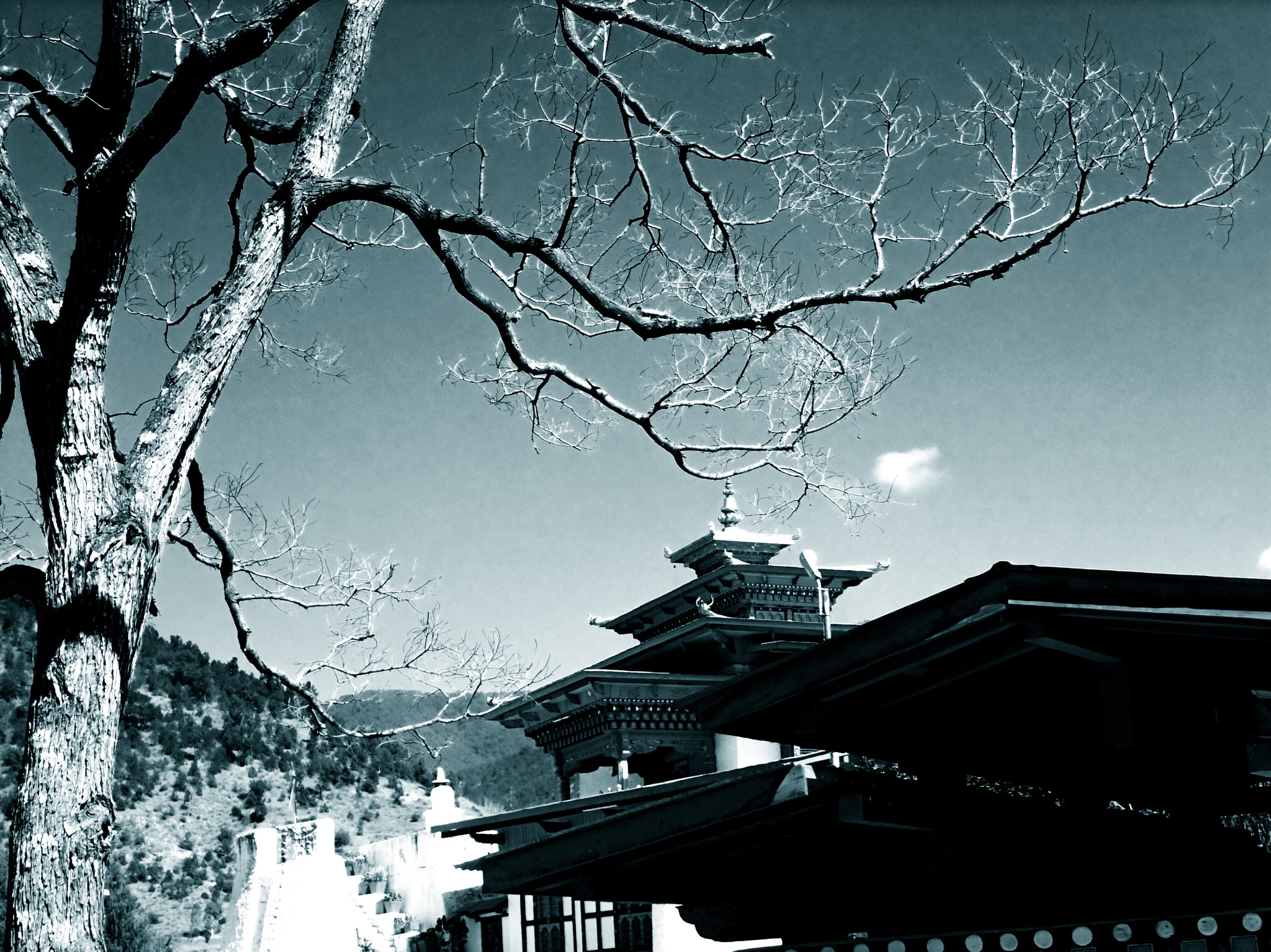 Fujifilm FinePix F200EXR sample photo. Bhutan photography