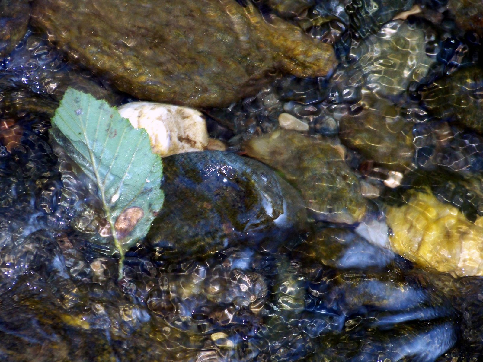 Kodak EASYSHARE Z8612 IS DIGITAL CAMERA sample photo. Picture_184.jpg photography