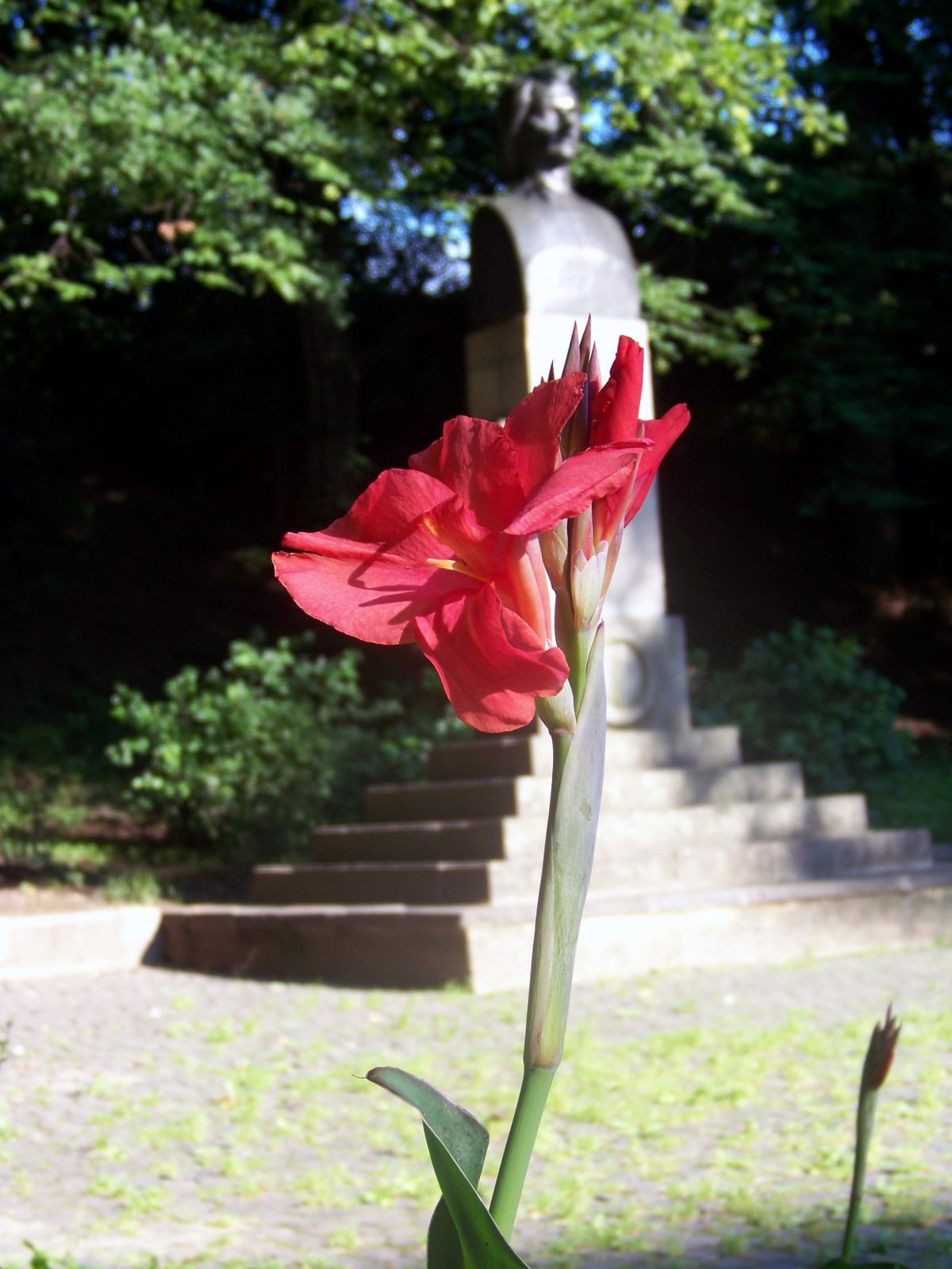 Kodak EASYSHARE Z8612 IS DIGITAL CAMERA sample photo. Picture_100.jpg photography