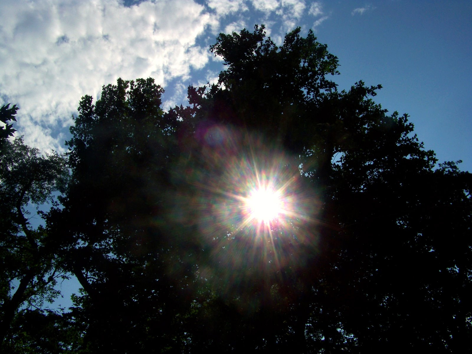 Kodak EASYSHARE Z8612 IS DIGITAL CAMERA sample photo. Picture_072.jpg photography