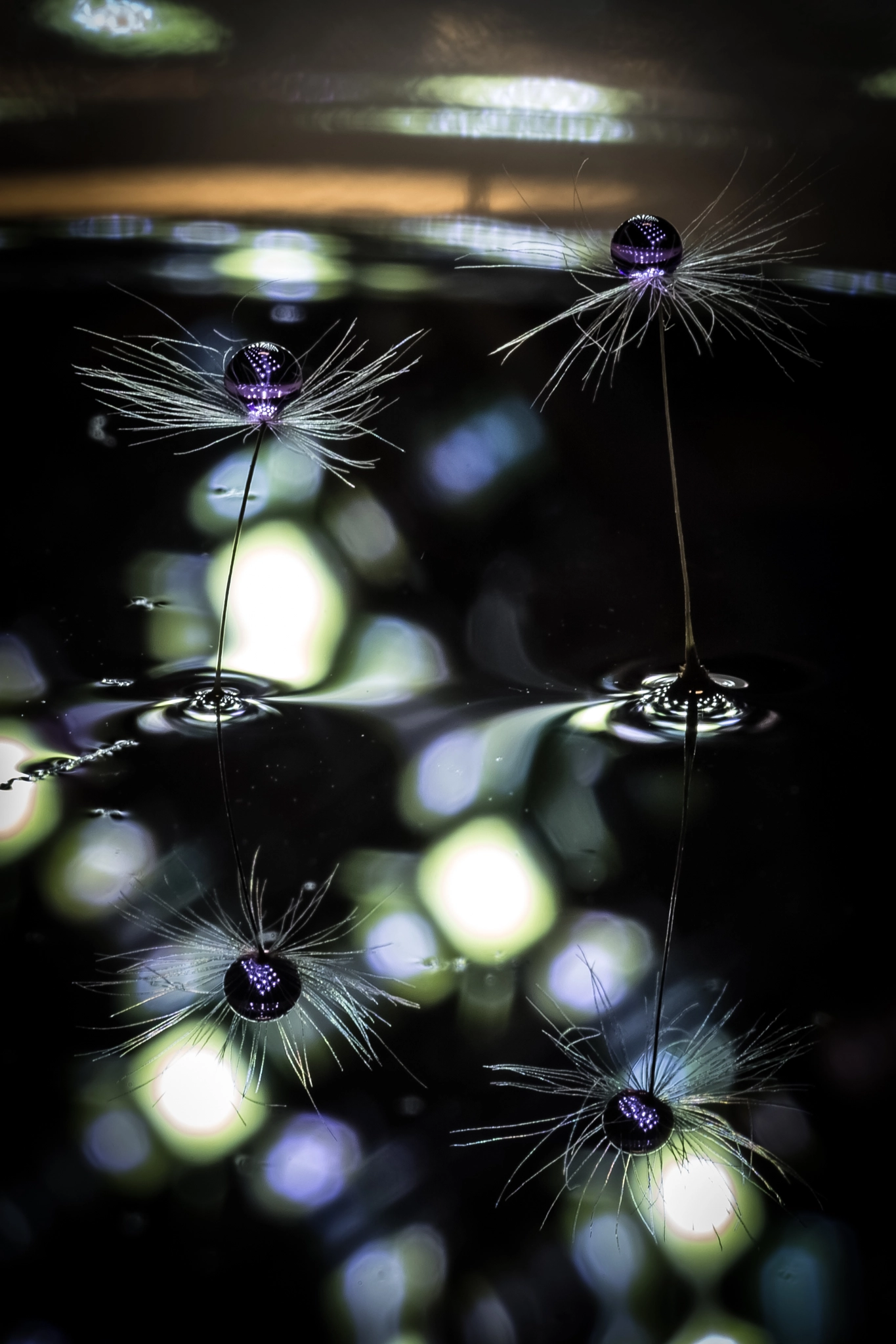 Sigma 150mm f/2.8 EX DG OS HSM APO Macro sample photo. Big city lights photography