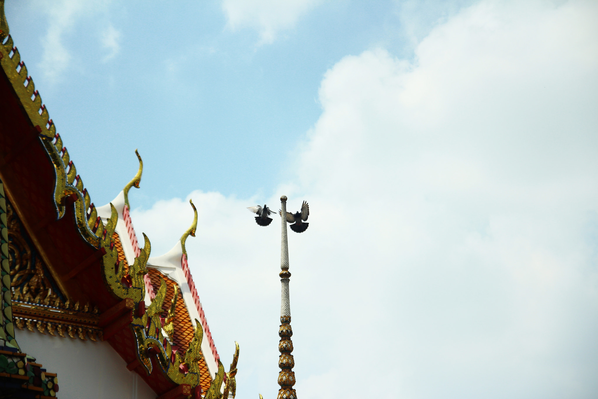 Canon EOS 600D (Rebel EOS T3i / EOS Kiss X5) sample photo. Pigeons at wat pho photography